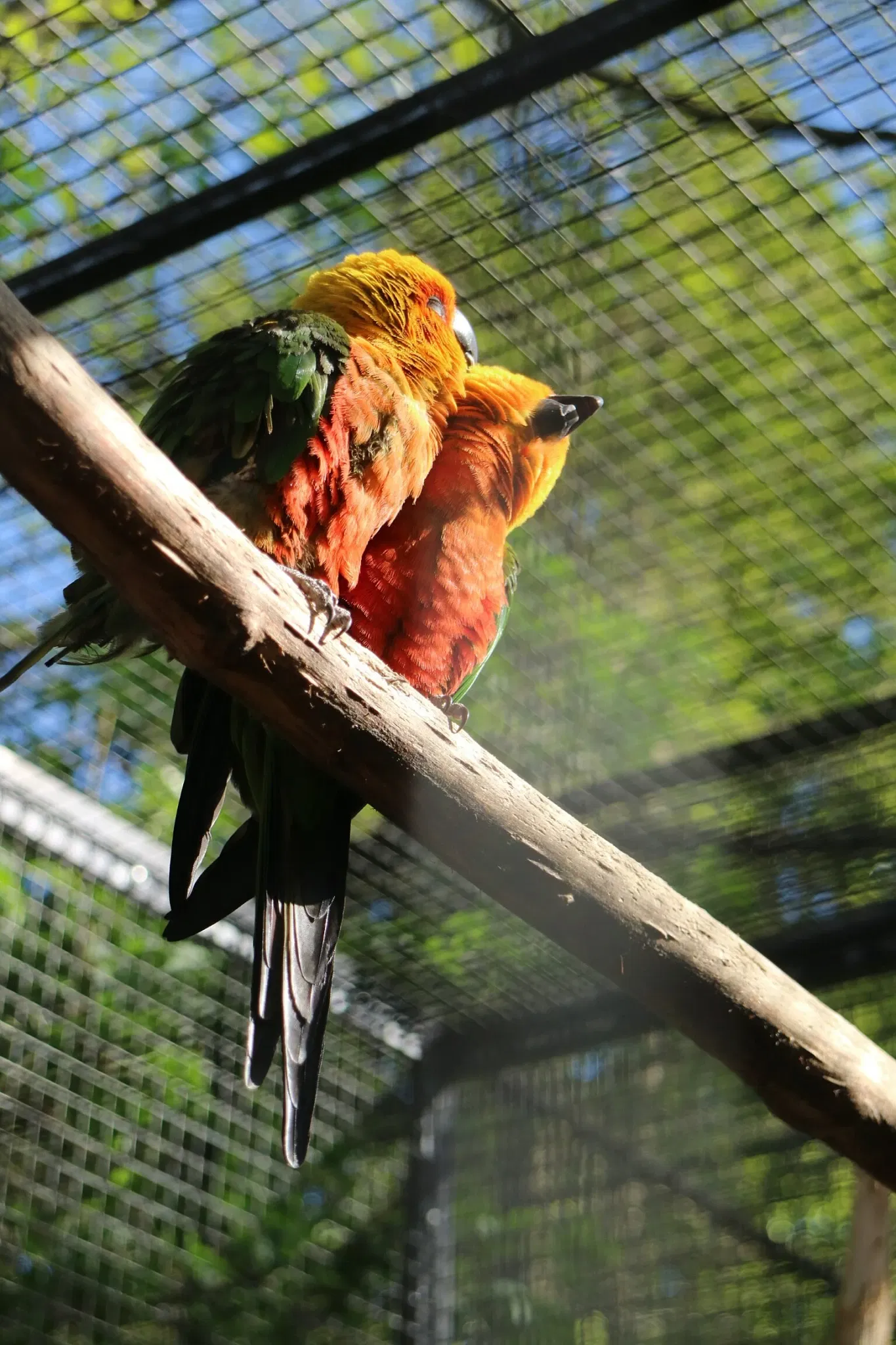 Bird Park Niendorf