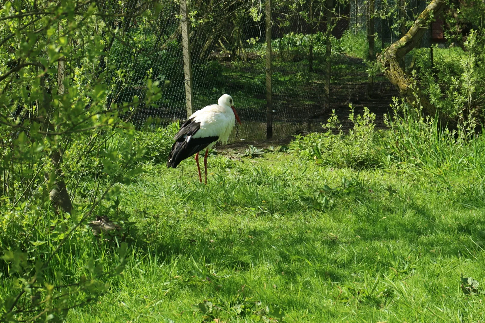 Vogelpark Niendorf