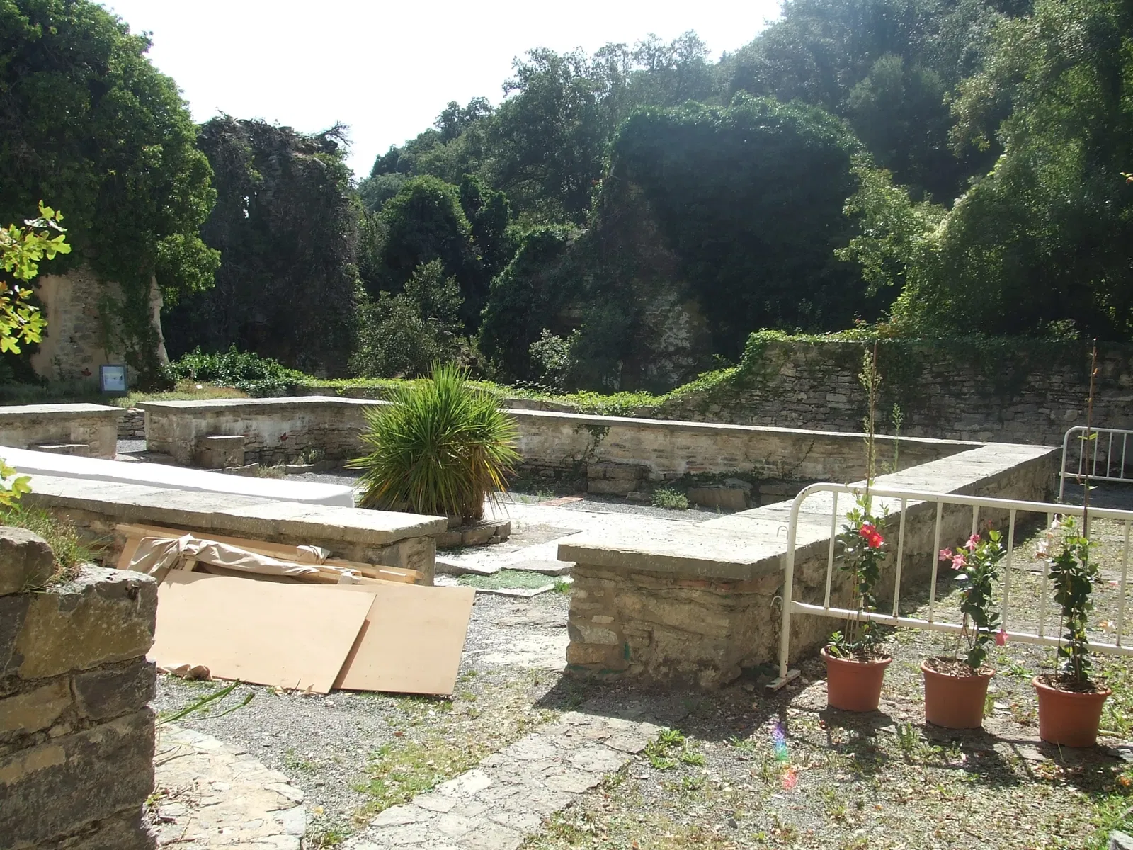 Botanical Garden of Santa Catalina