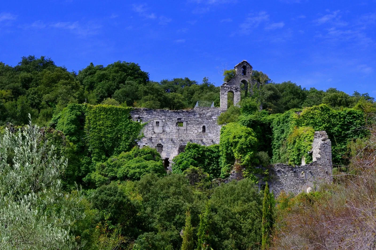 Jardín Botánico de Santa Catalina