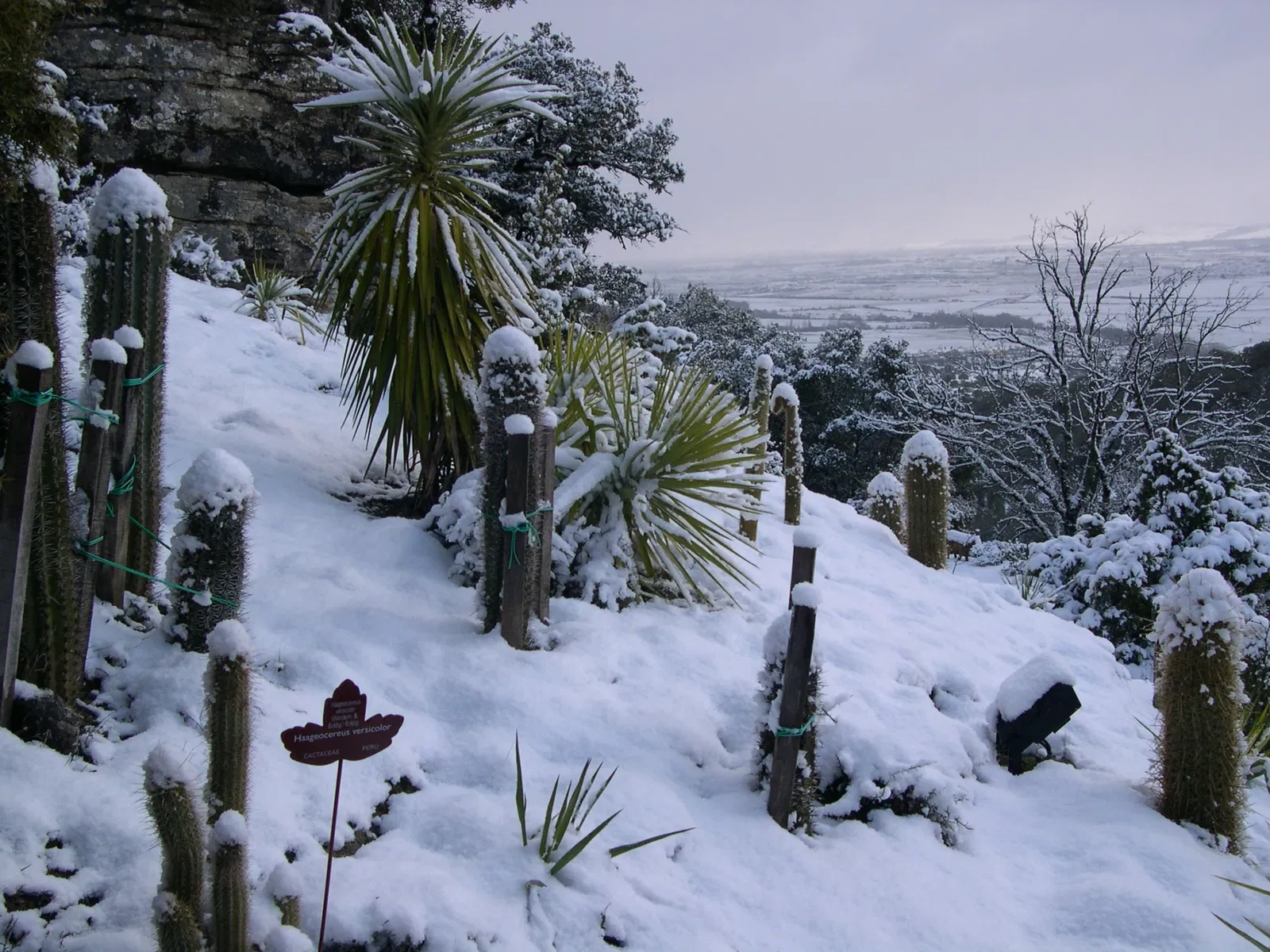 Botanical Garden of Santa Catalina