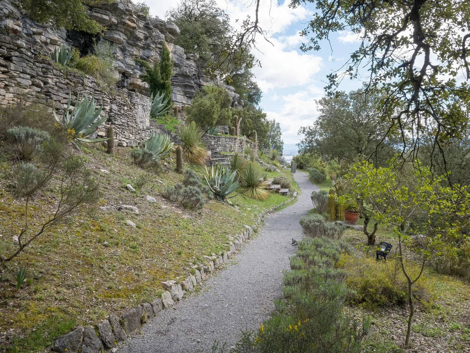Jardín Botánico de Santa Catalina