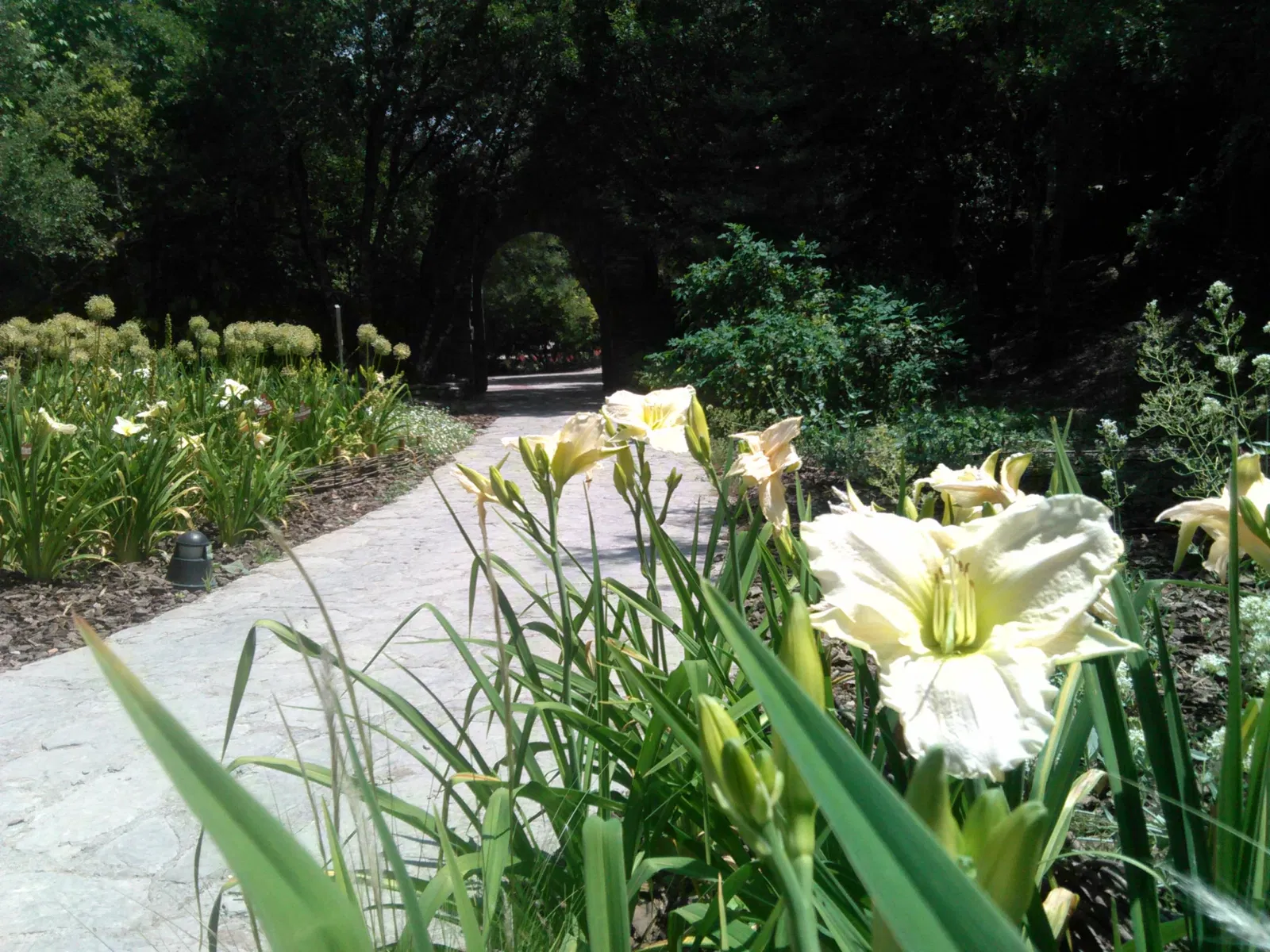 Jardín Botánico de Santa Catalina