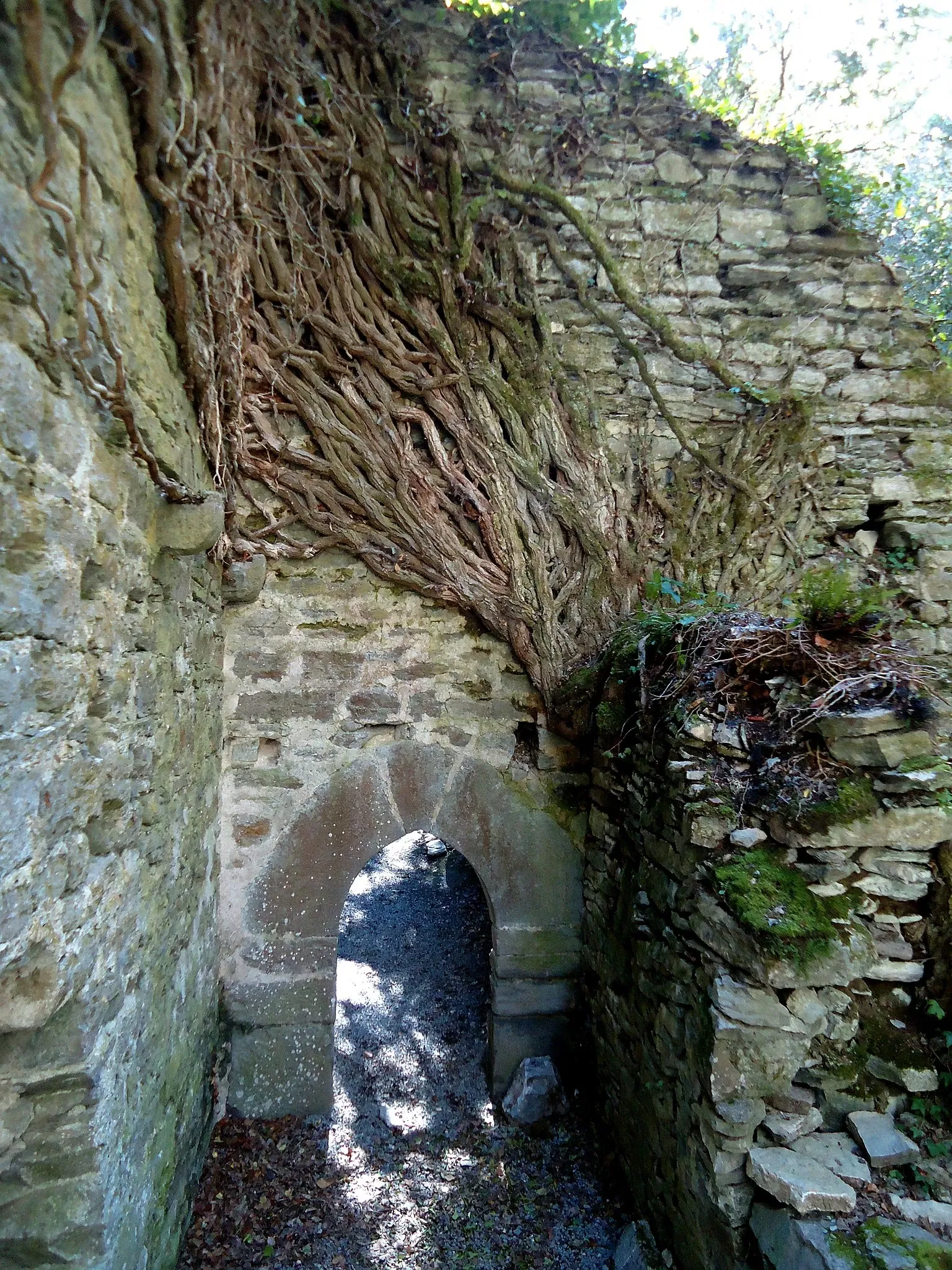 Botanical Garden of Santa Catalina