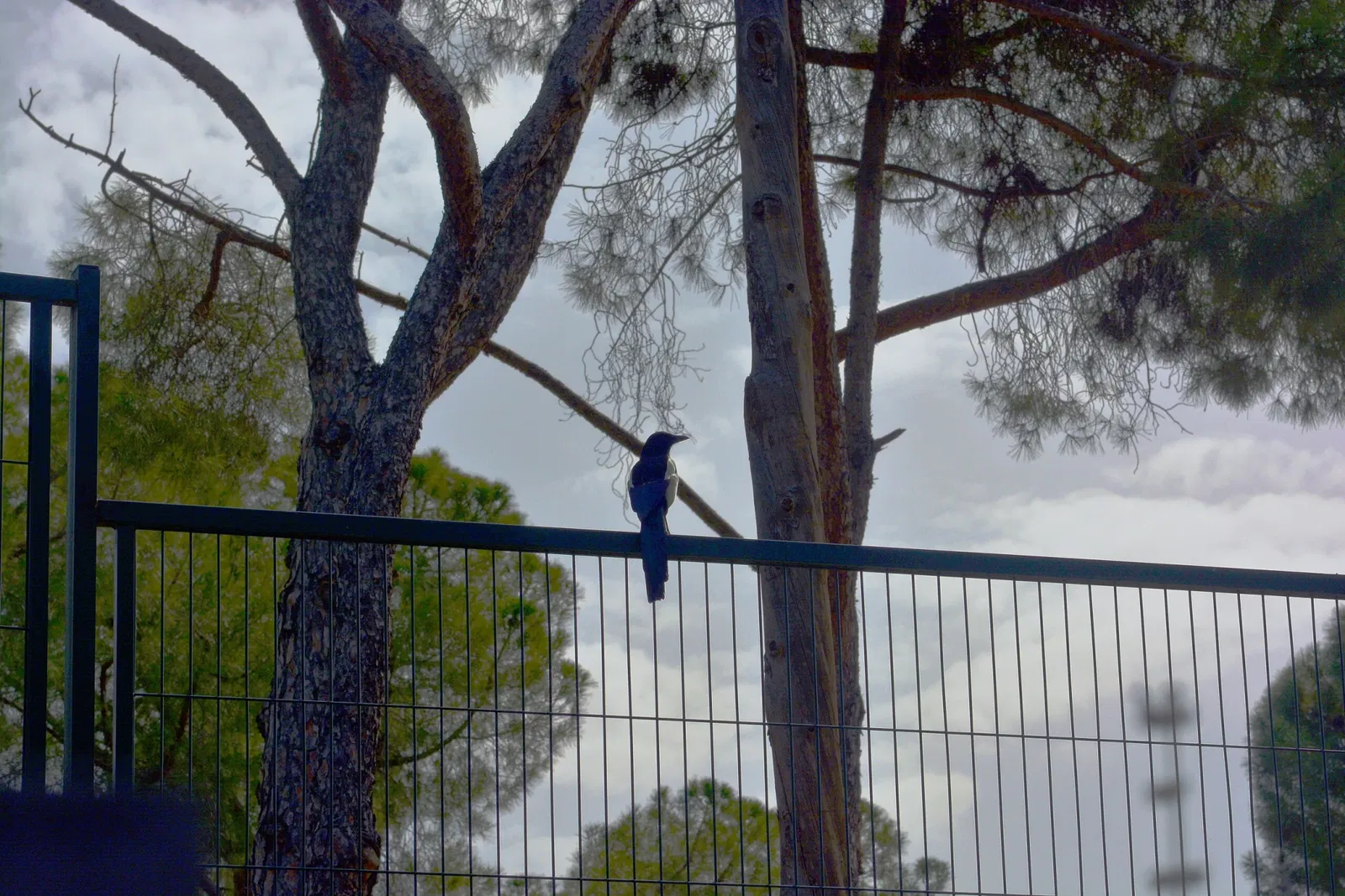 Church of Colònia Güell
