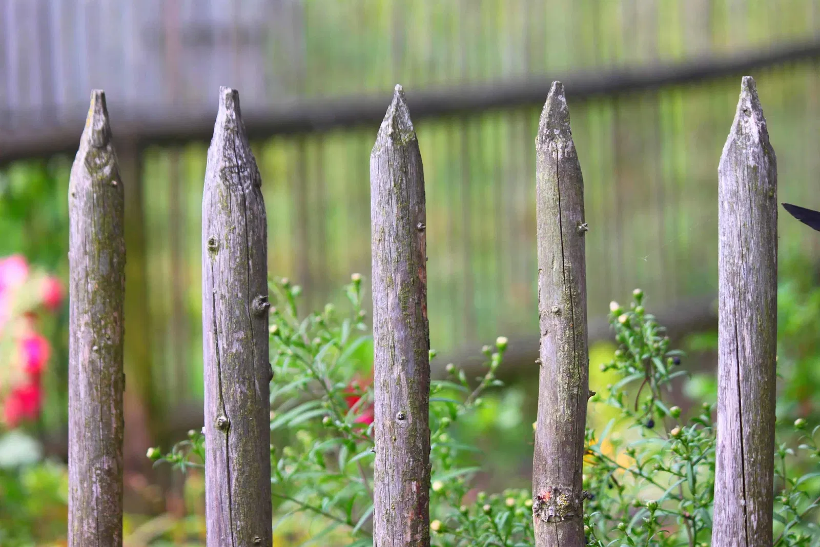Oberfränkisches Bauernhofmuseum Kleinlosnitz