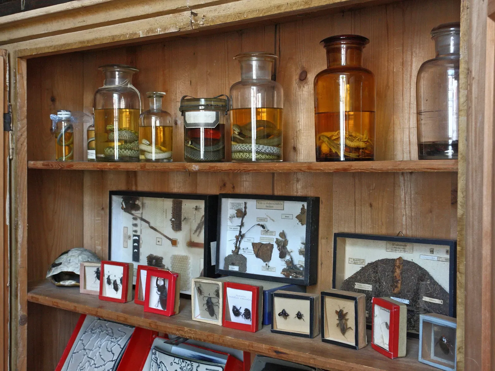 Dorfschulmuseum Erkheim-Daxberg