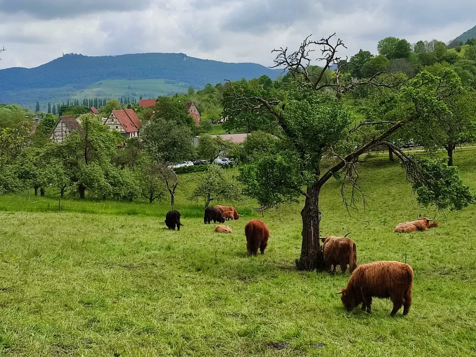 Beuren Open Air Museum