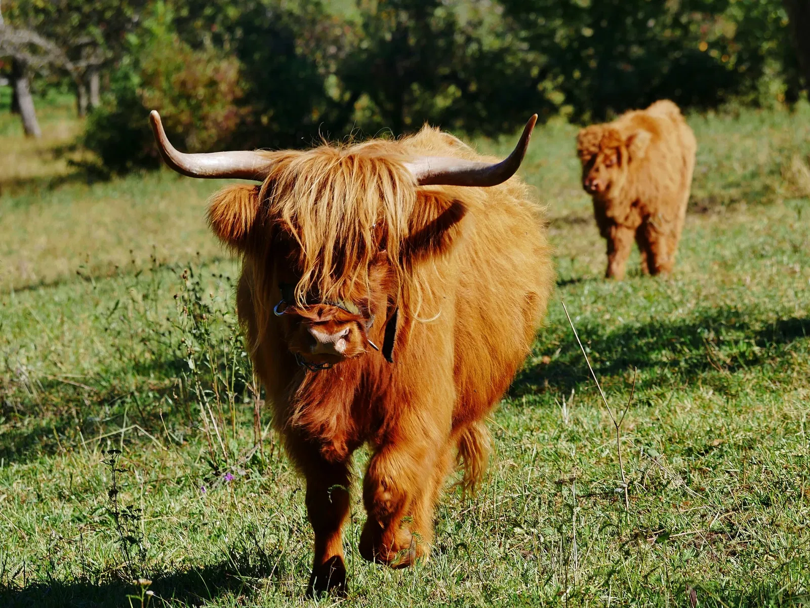 Beuren Open Air Museum