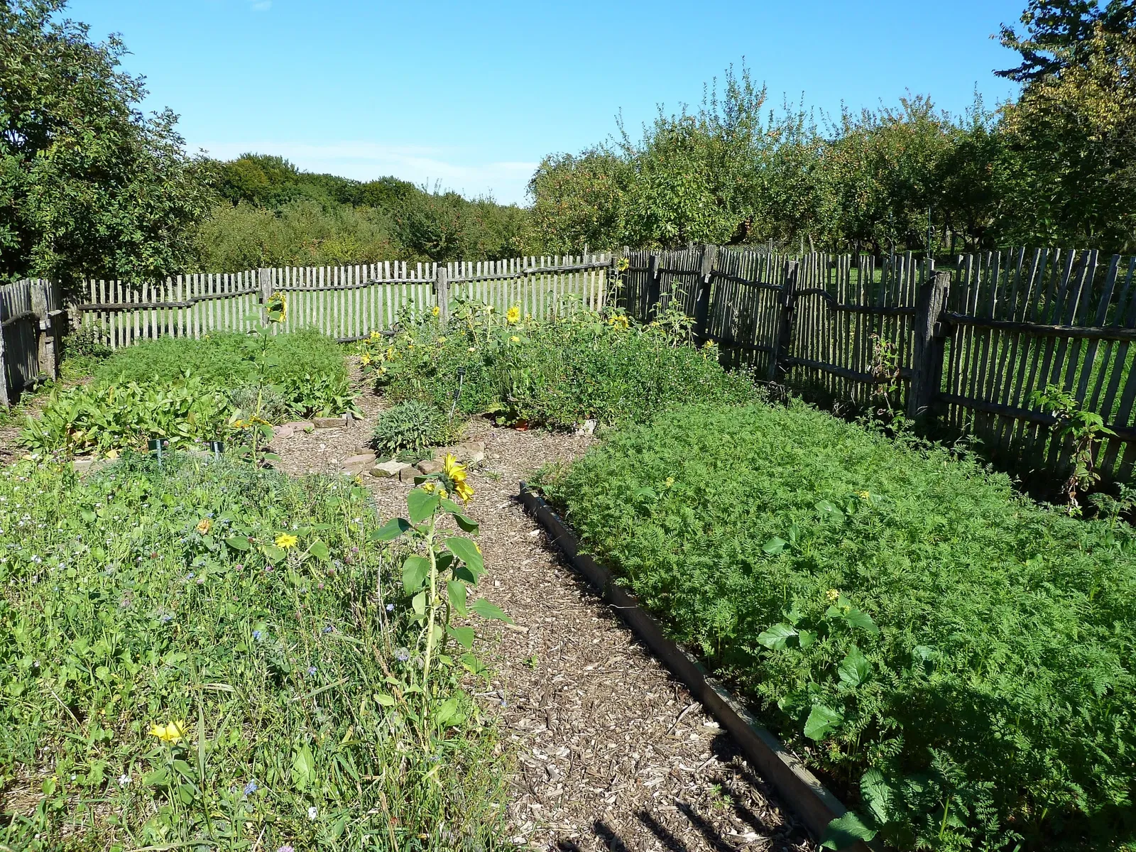 Freilichtmuseum Beuren