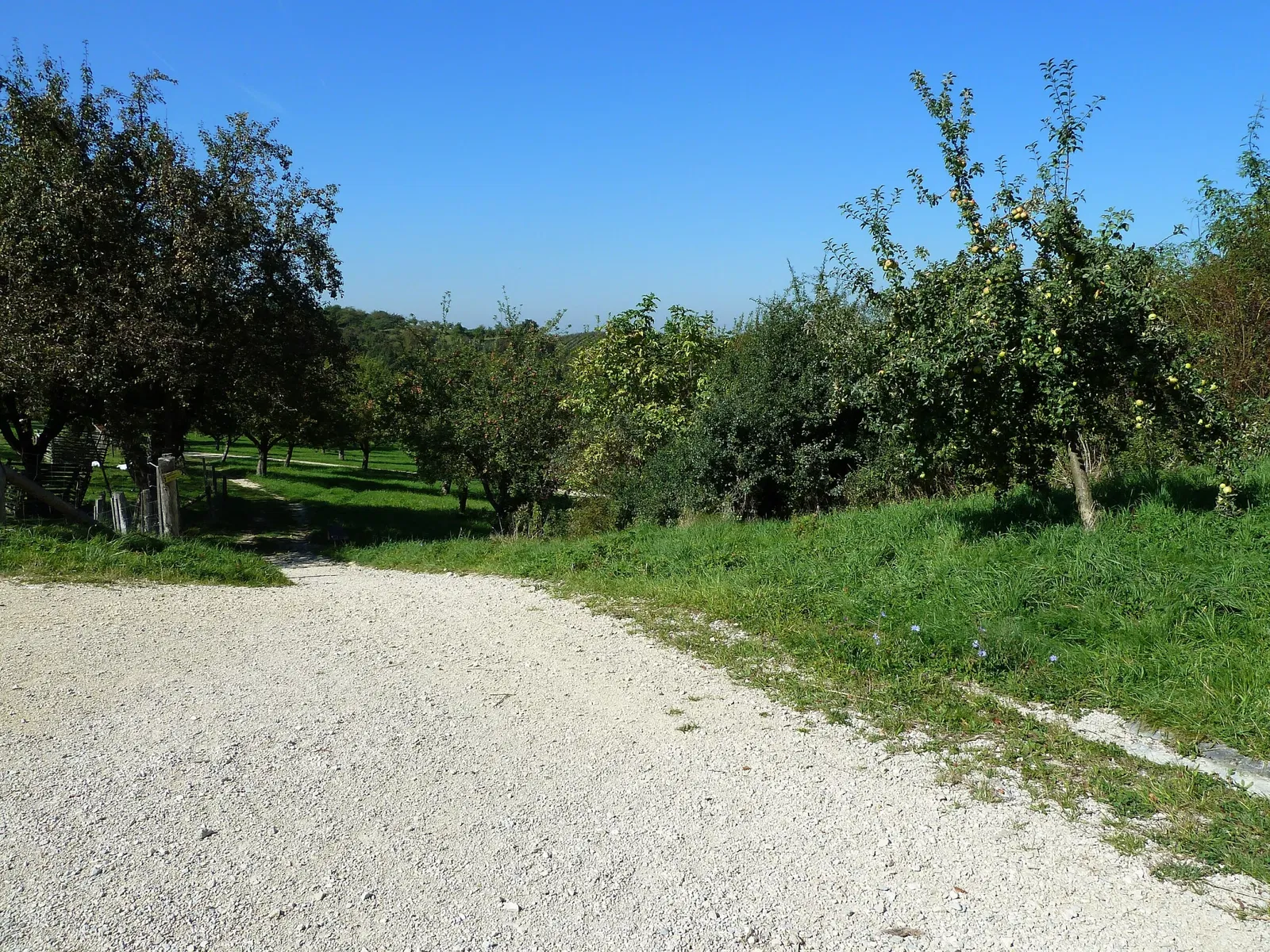 Beuren Open Air Museum
