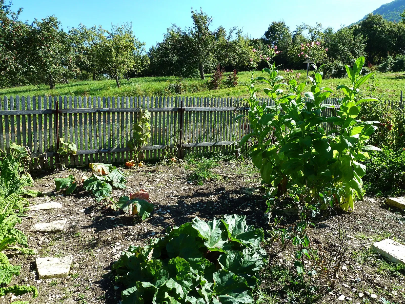 Freilichtmuseum Beuren