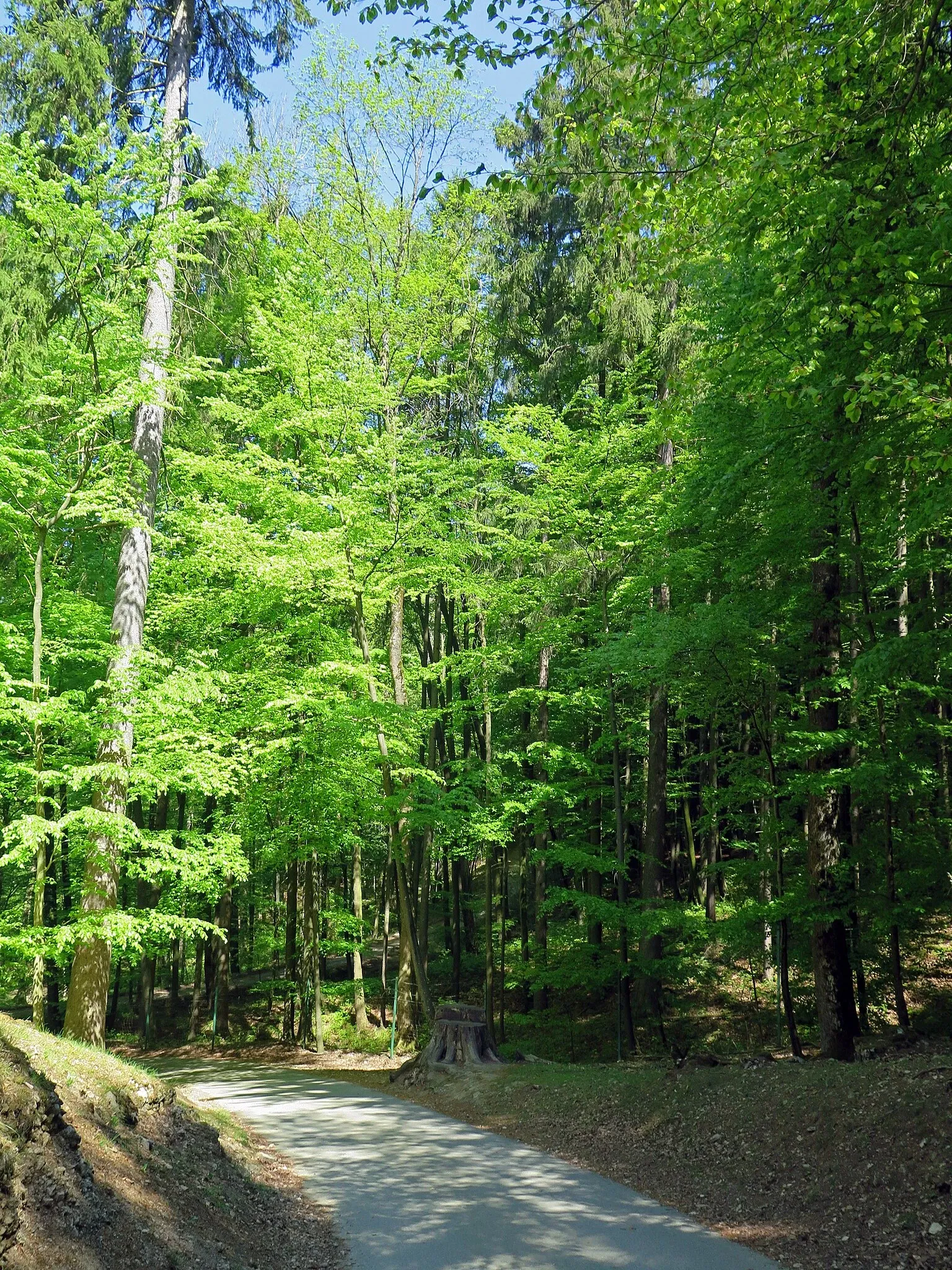 Wildpark Hundshaupten