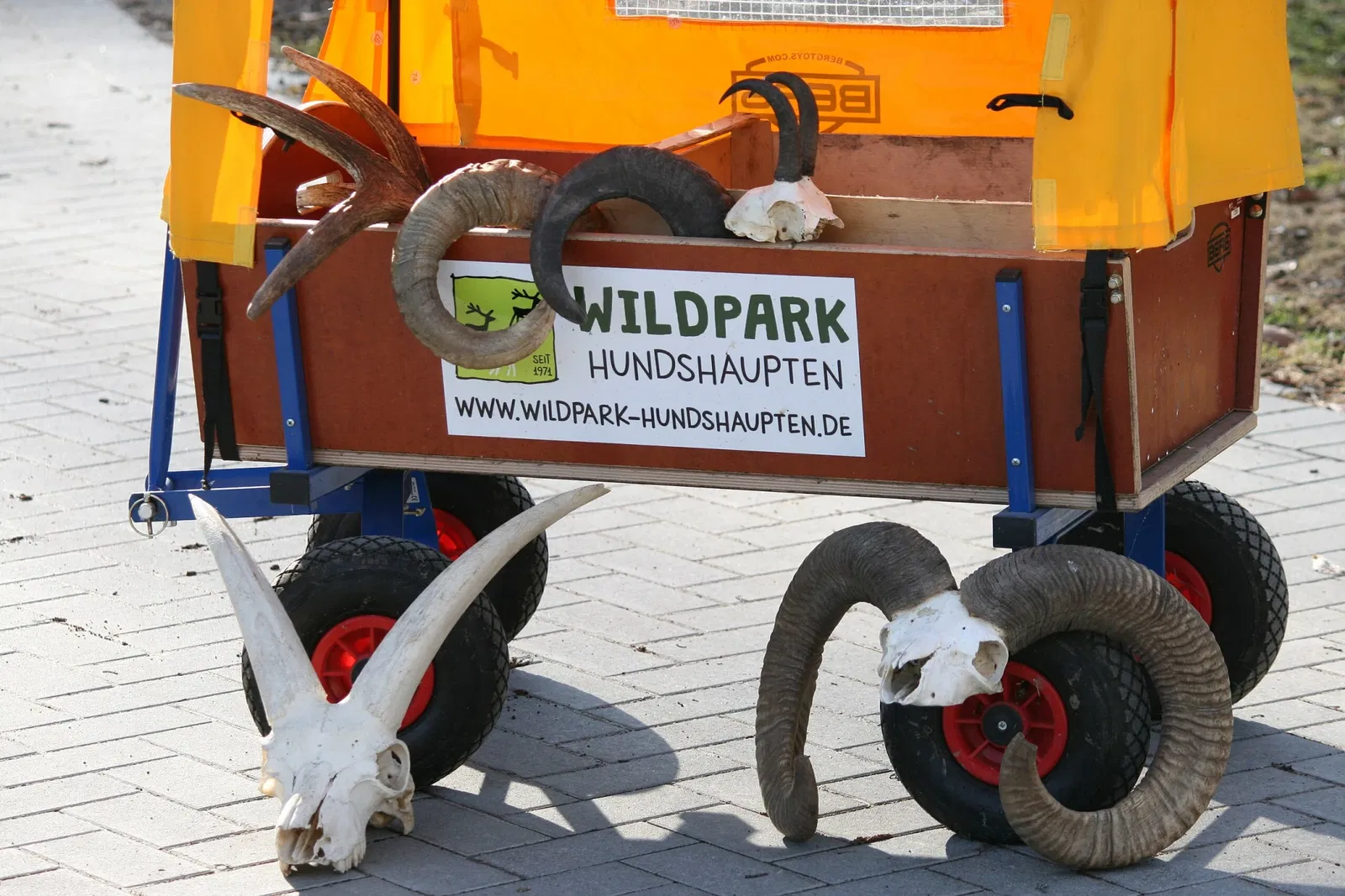 Wildpark Hundshaupten