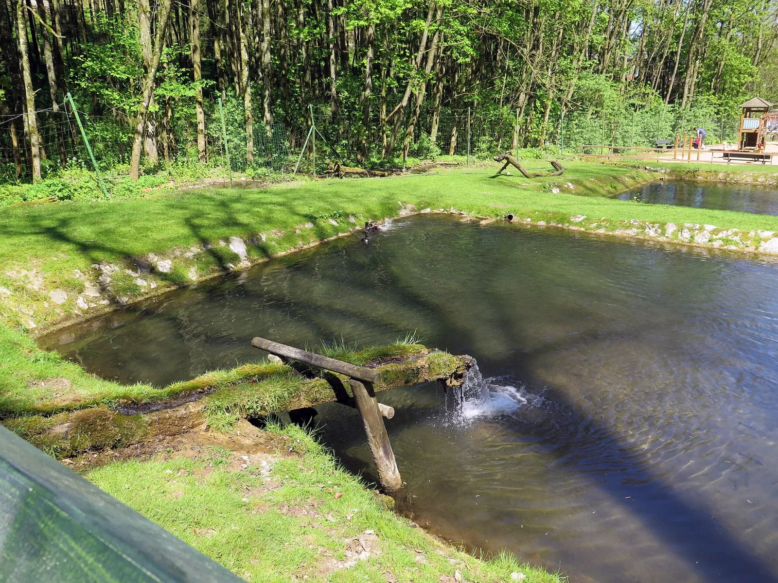 Wildpark Hundshaupten