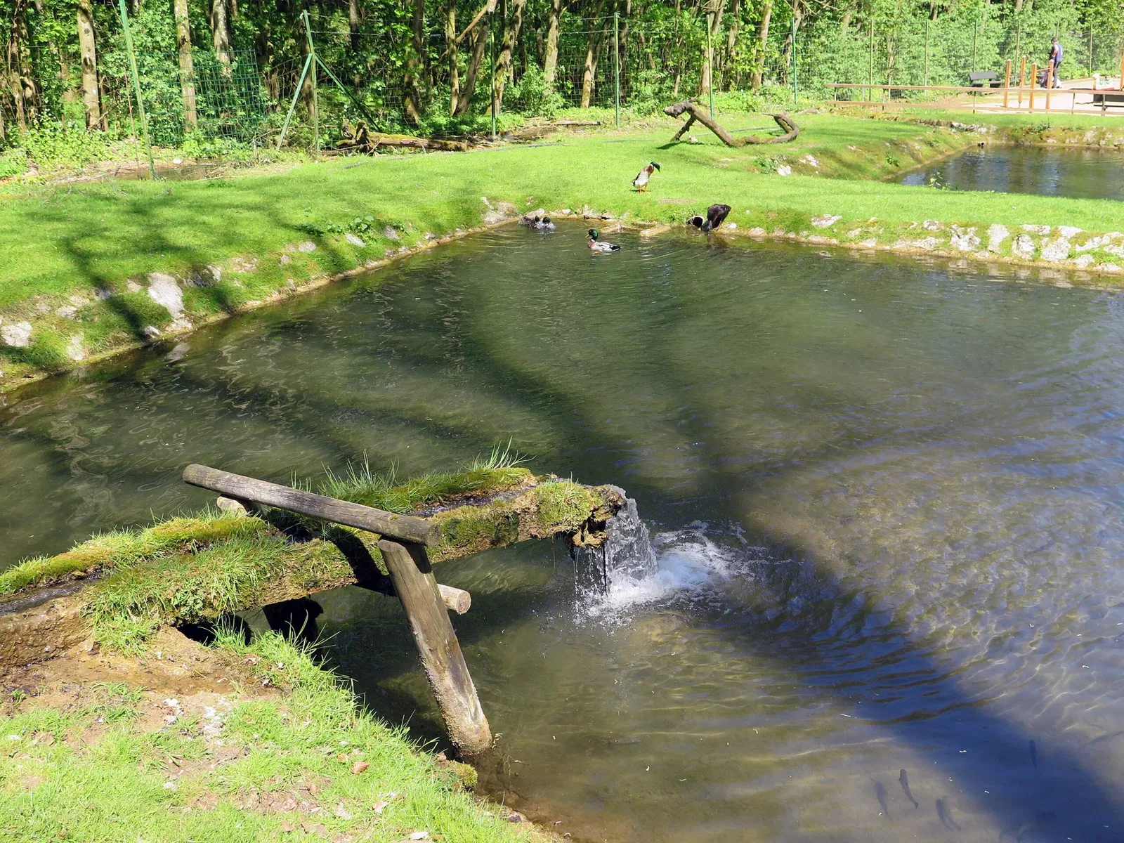 Wildpark Hundshaupten