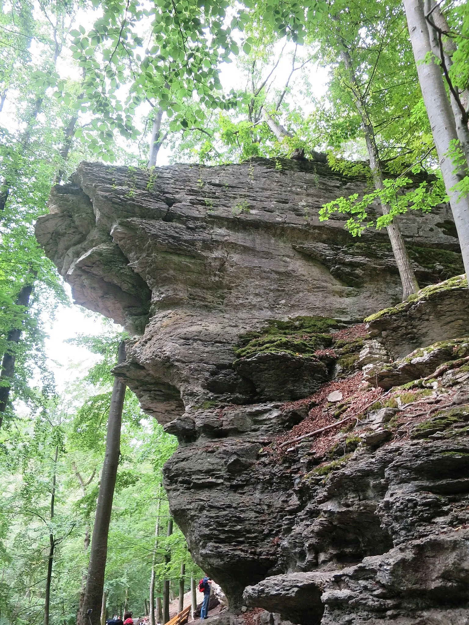Wildpark Hundshaupten