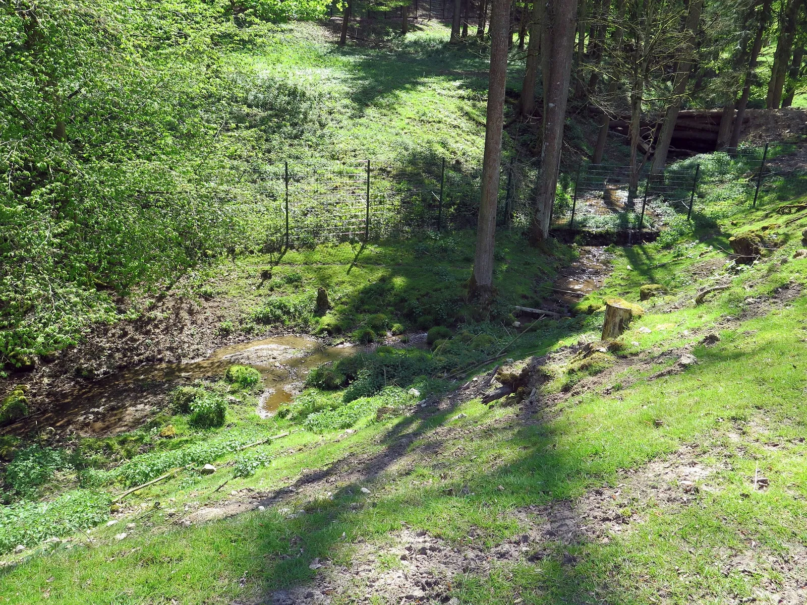 Wildpark Hundshaupten