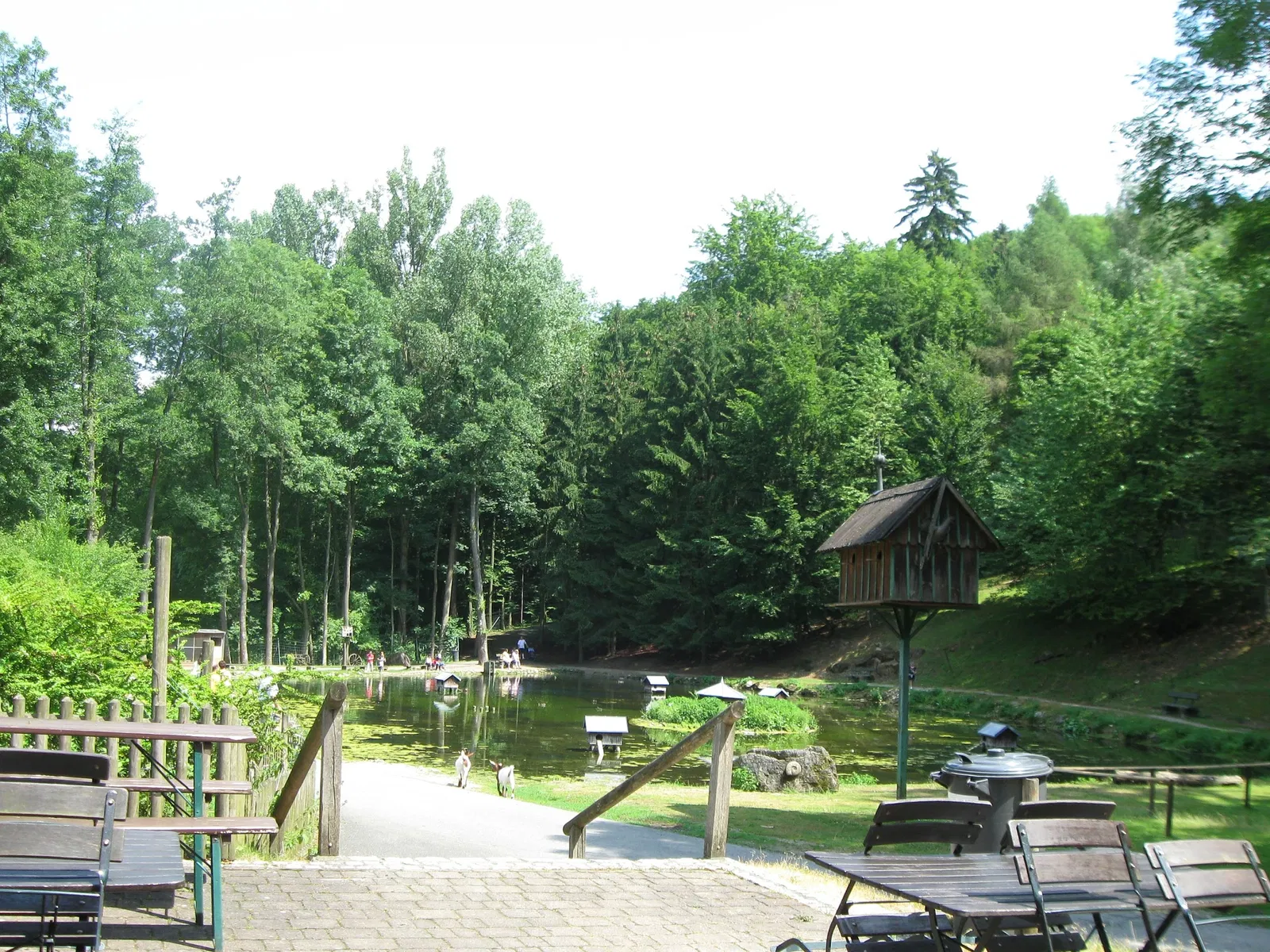 Wildpark Hundshaupten