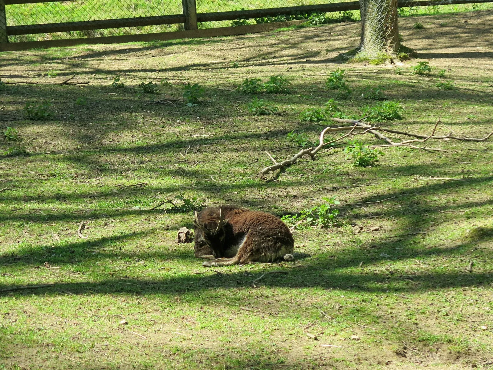 Wildpark Hundshaupten
