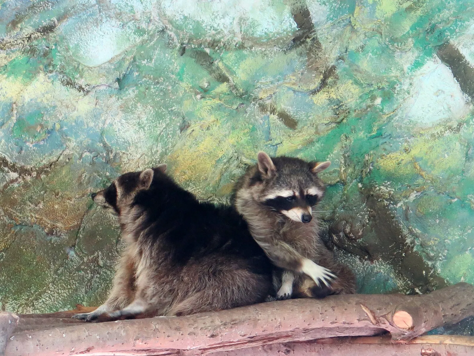 Wildpark Hundshaupten