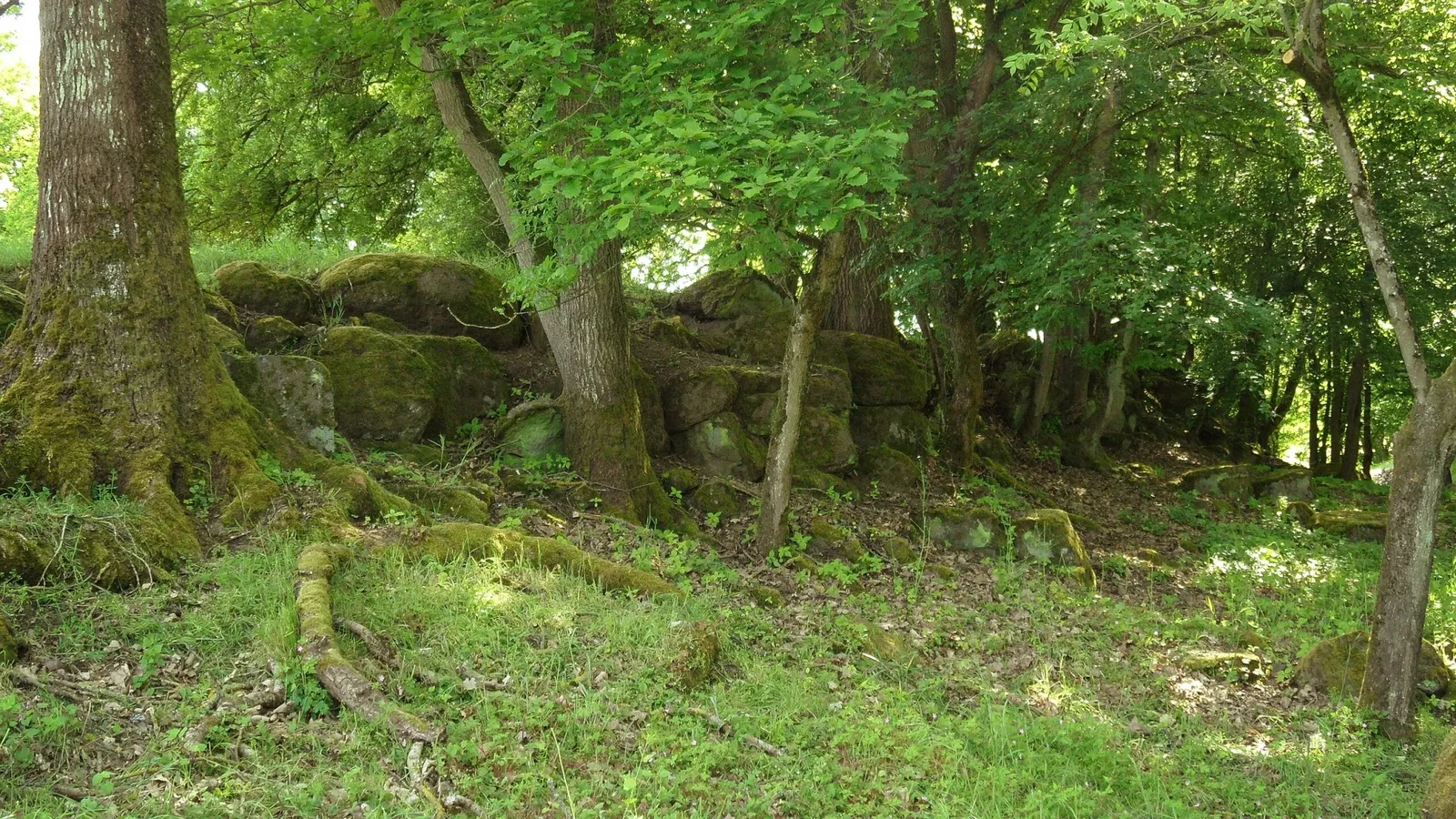 Keltenwelt am Glauberg