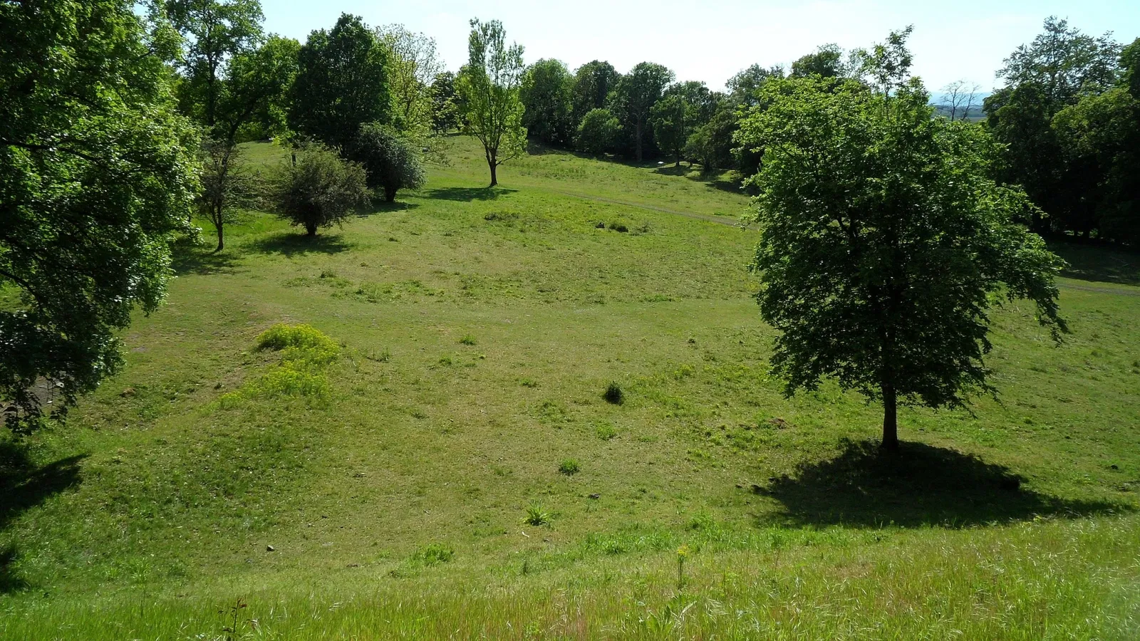 Keltenwelt am Glauberg