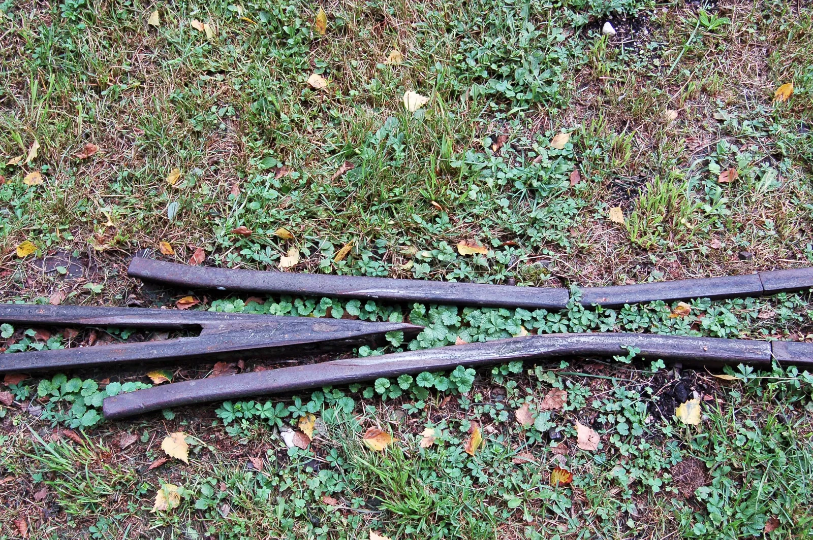 Bayerisches Moor- und Torfmuseum