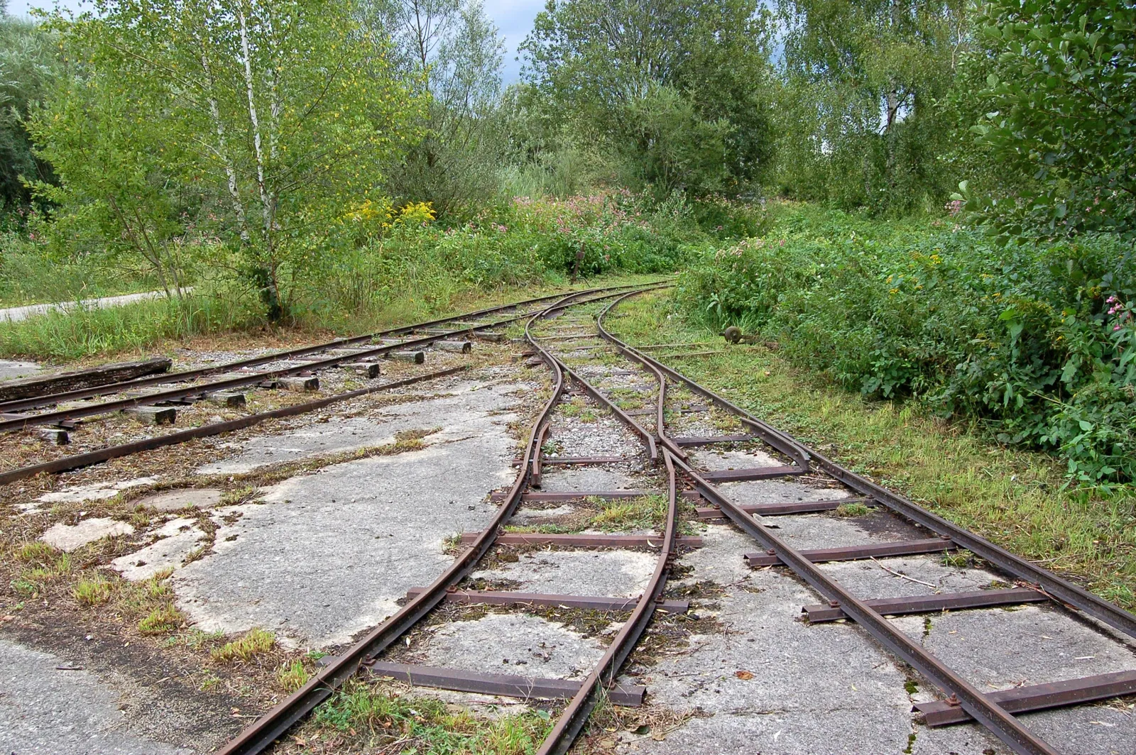 Bayerisches Moor- und Torfmuseum