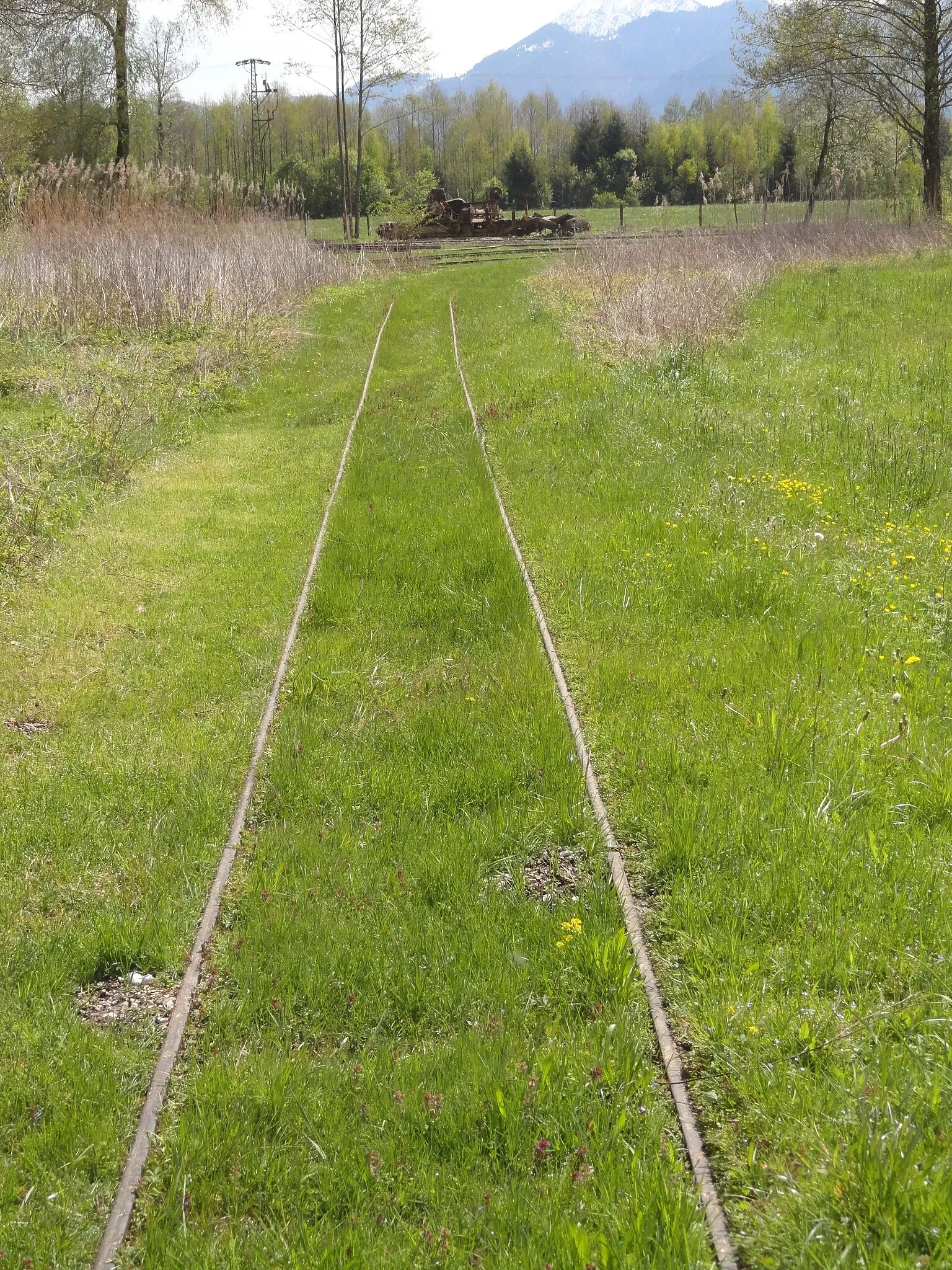 Bayerisches Moor- und Torfmuseum