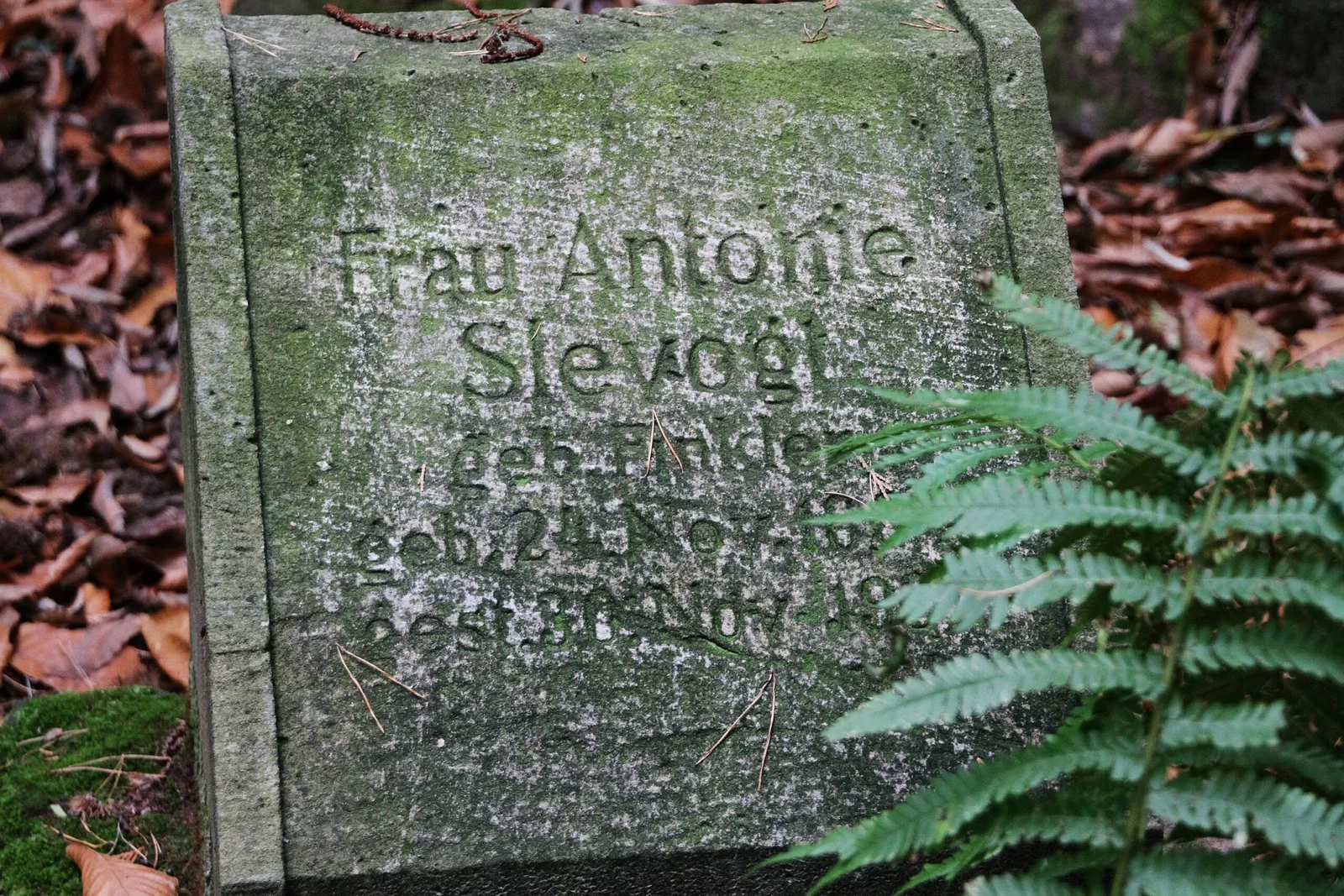 Slevogthof Neukastel