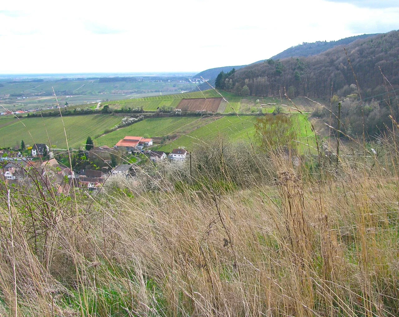 Slevogthof Neukastel
