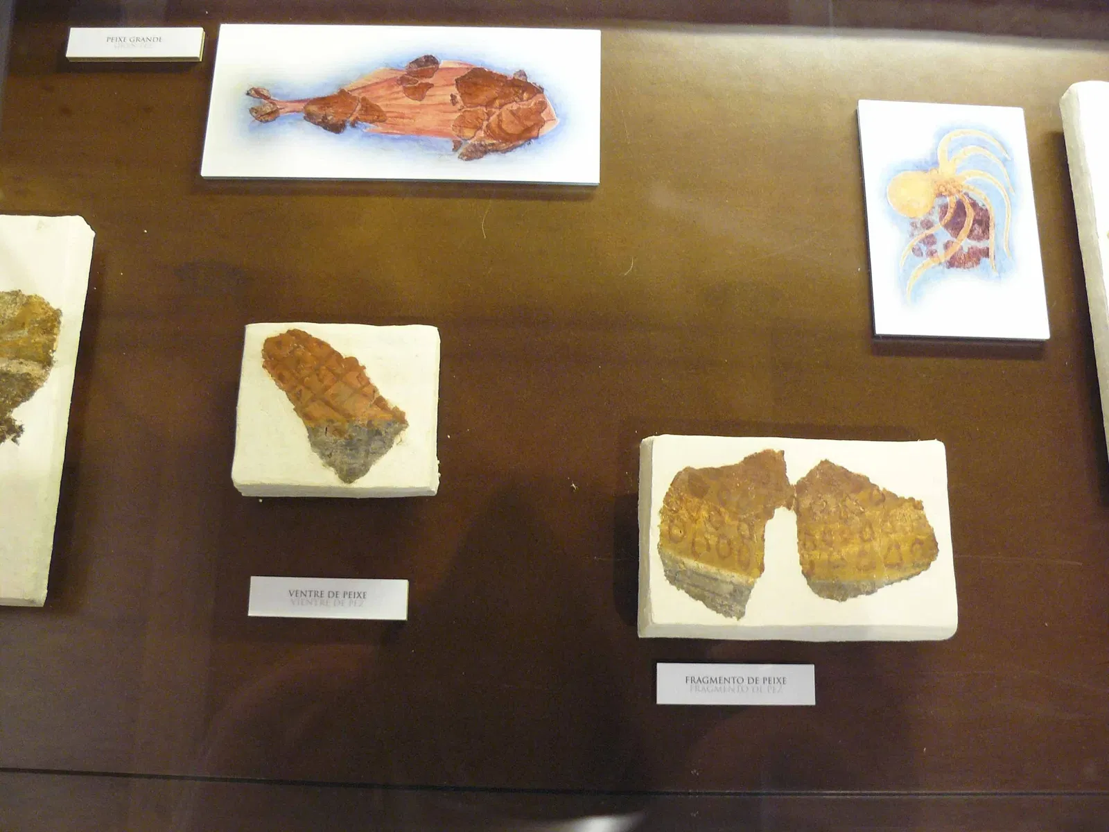 Museo Arqueolóxico de Cambre