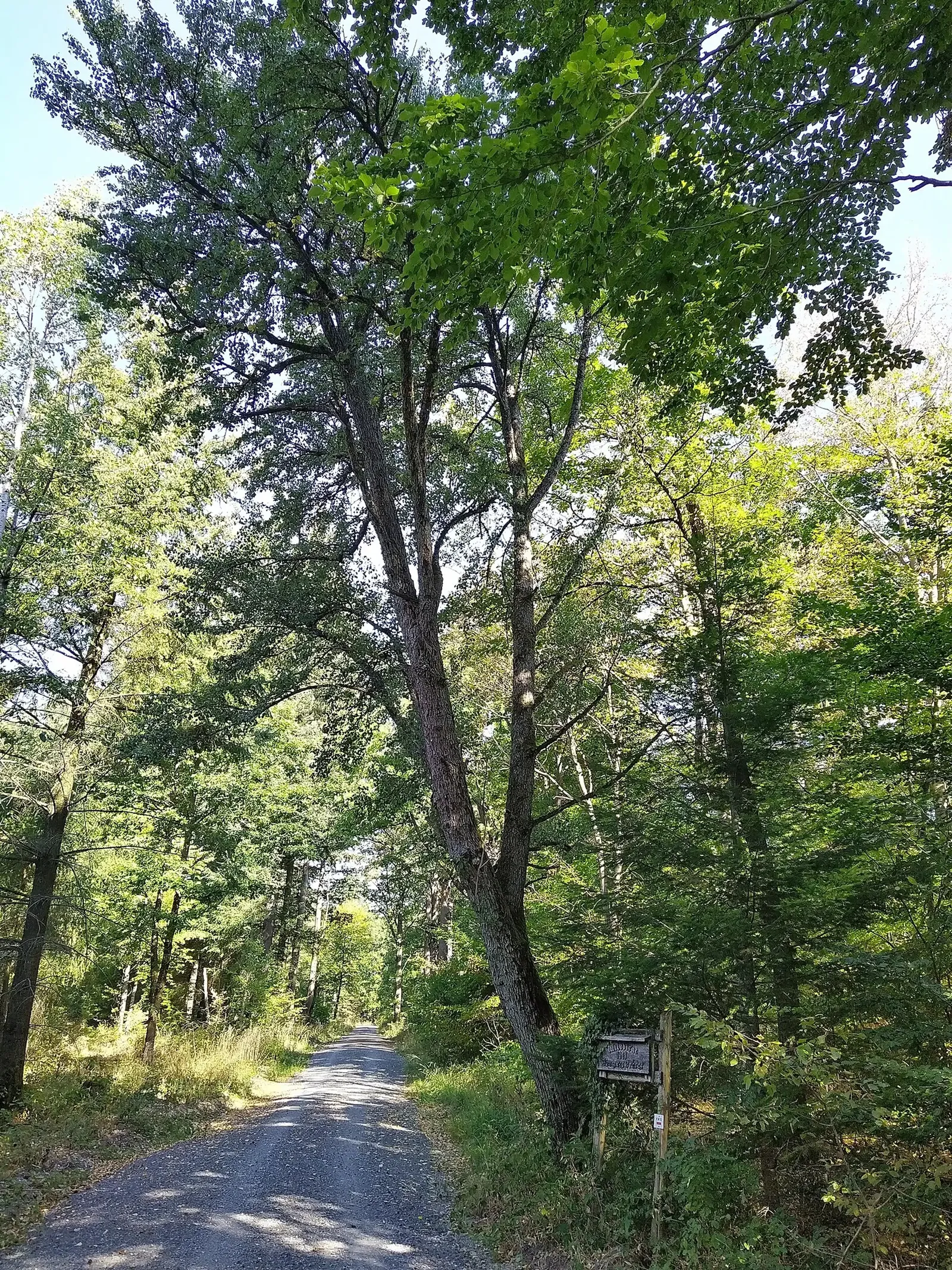 Naturparkzentrum Stromberg-Heuchelberg
