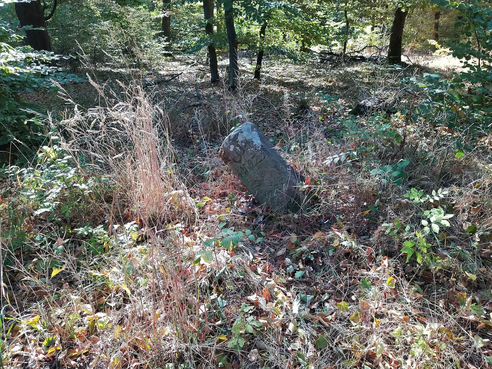 Naturparkzentrum Stromberg-Heuchelberg