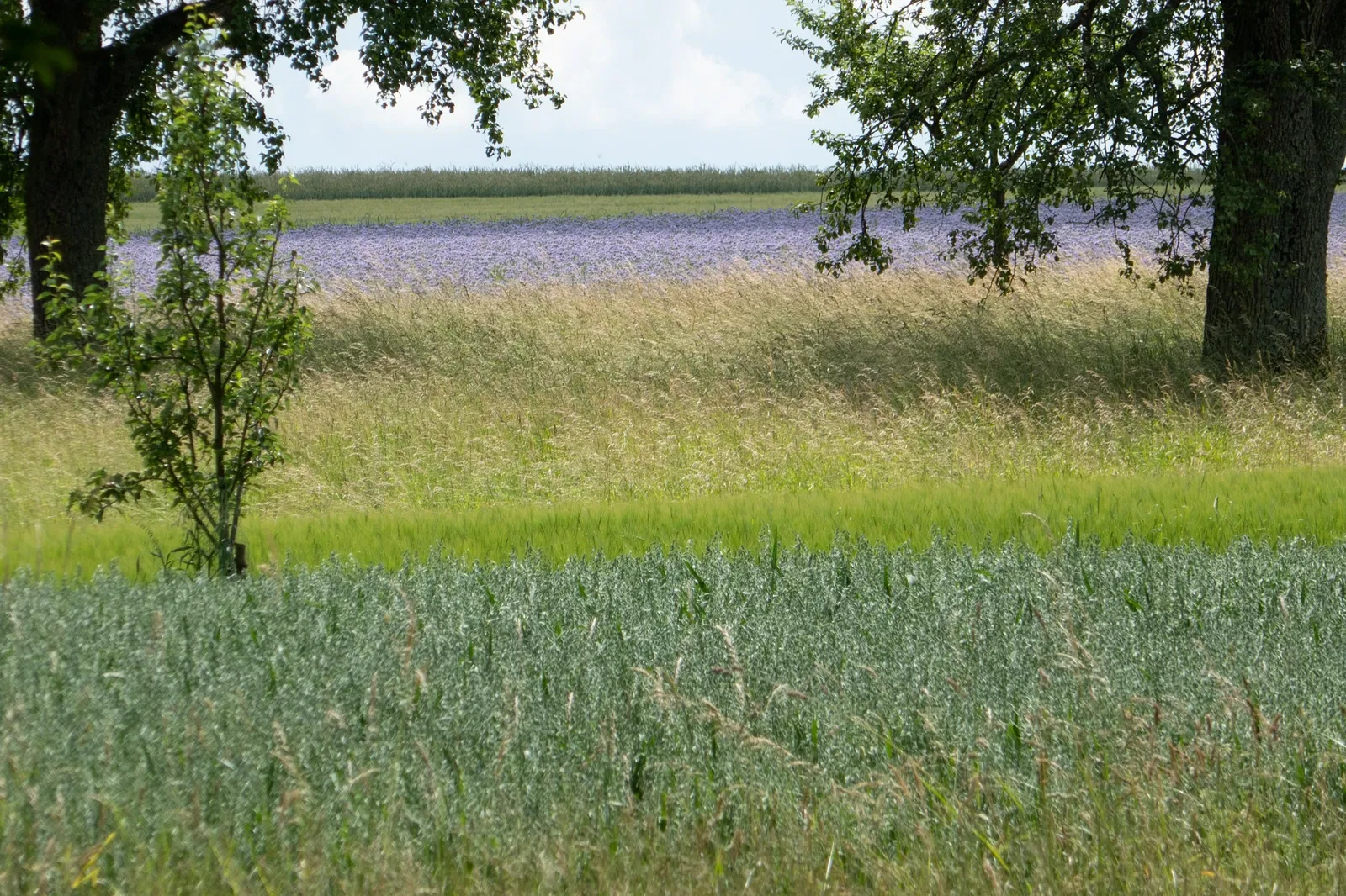 Stromberg-Heuchelberg Nature Park