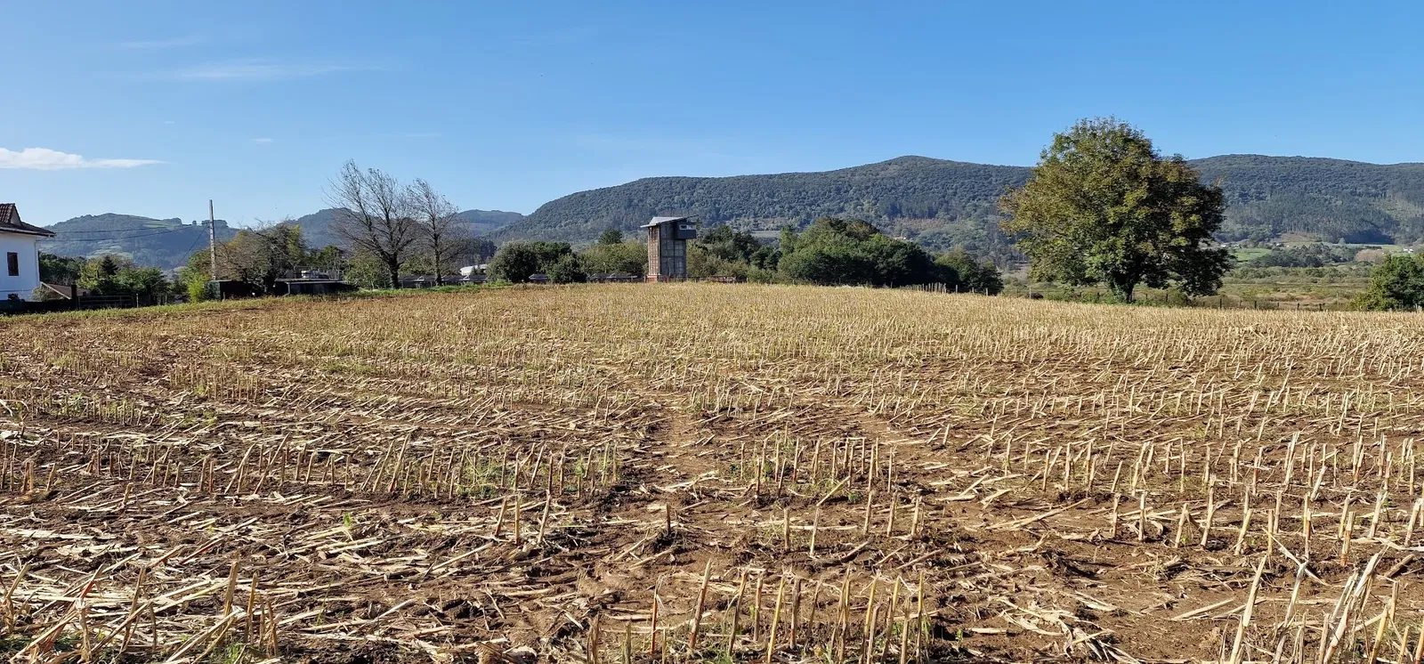 Urdaibai Bird Center