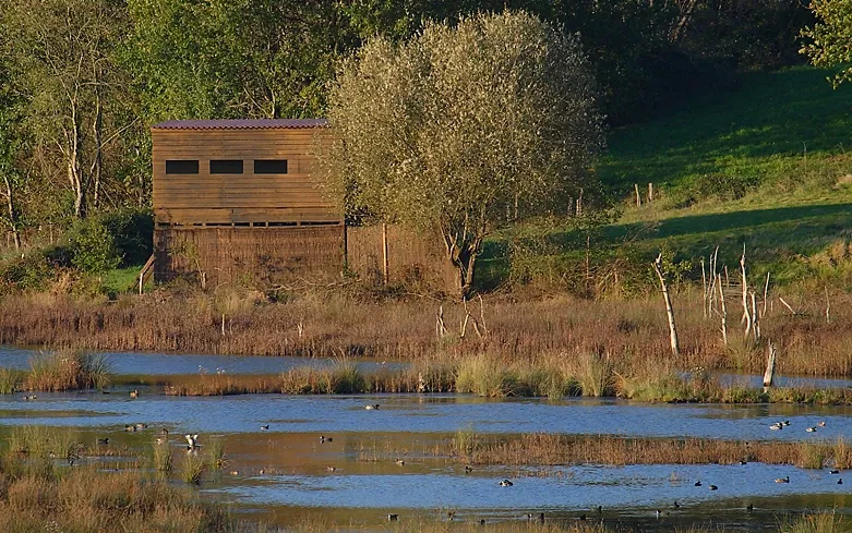 Urdaibai Bird Center