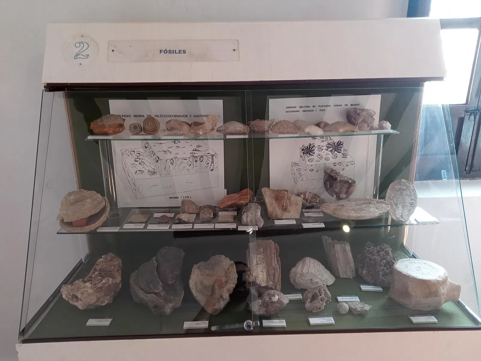 Museo Comarcal Velezano Miguel Guirao