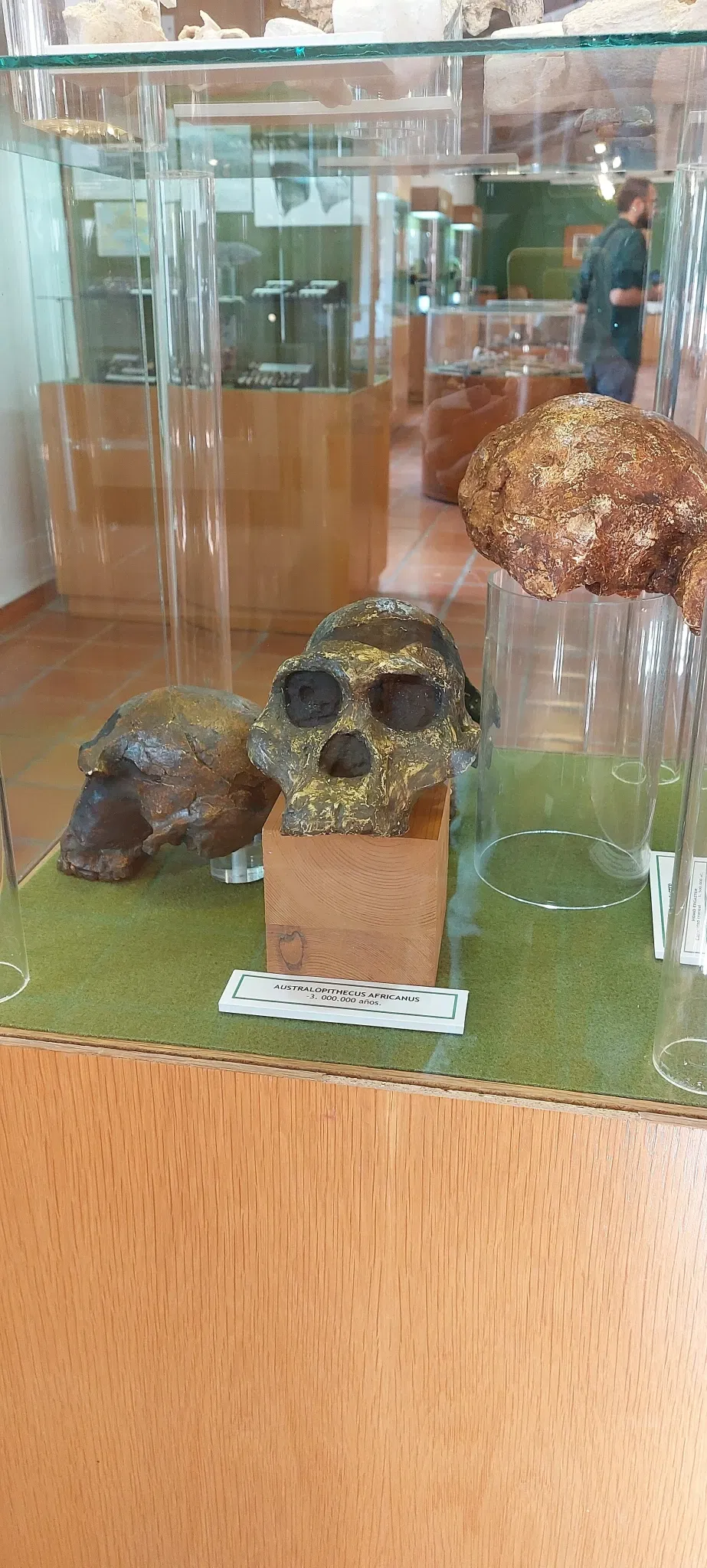 Museo Comarcal Velezano Miguel Guirao