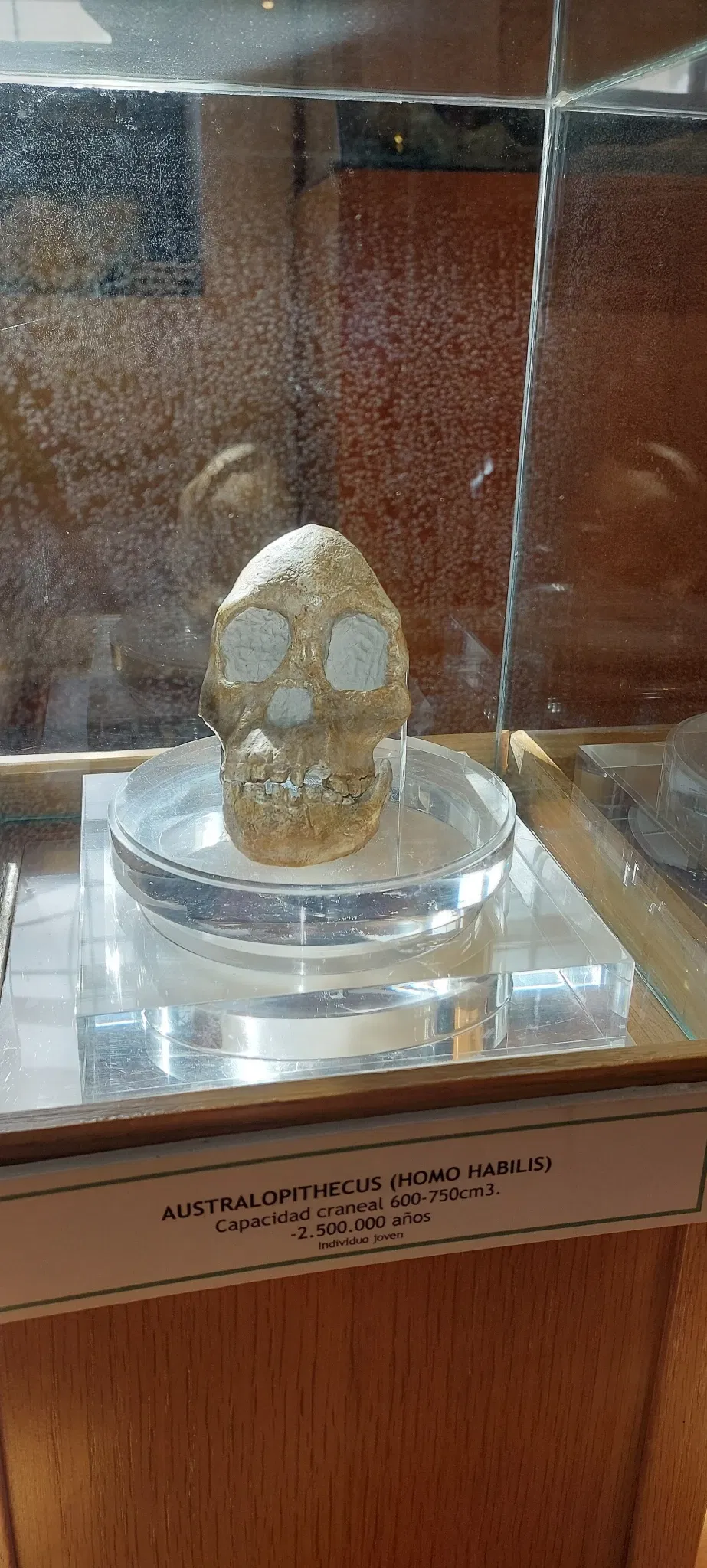 Velezano County Museum "Miguel Guirao"