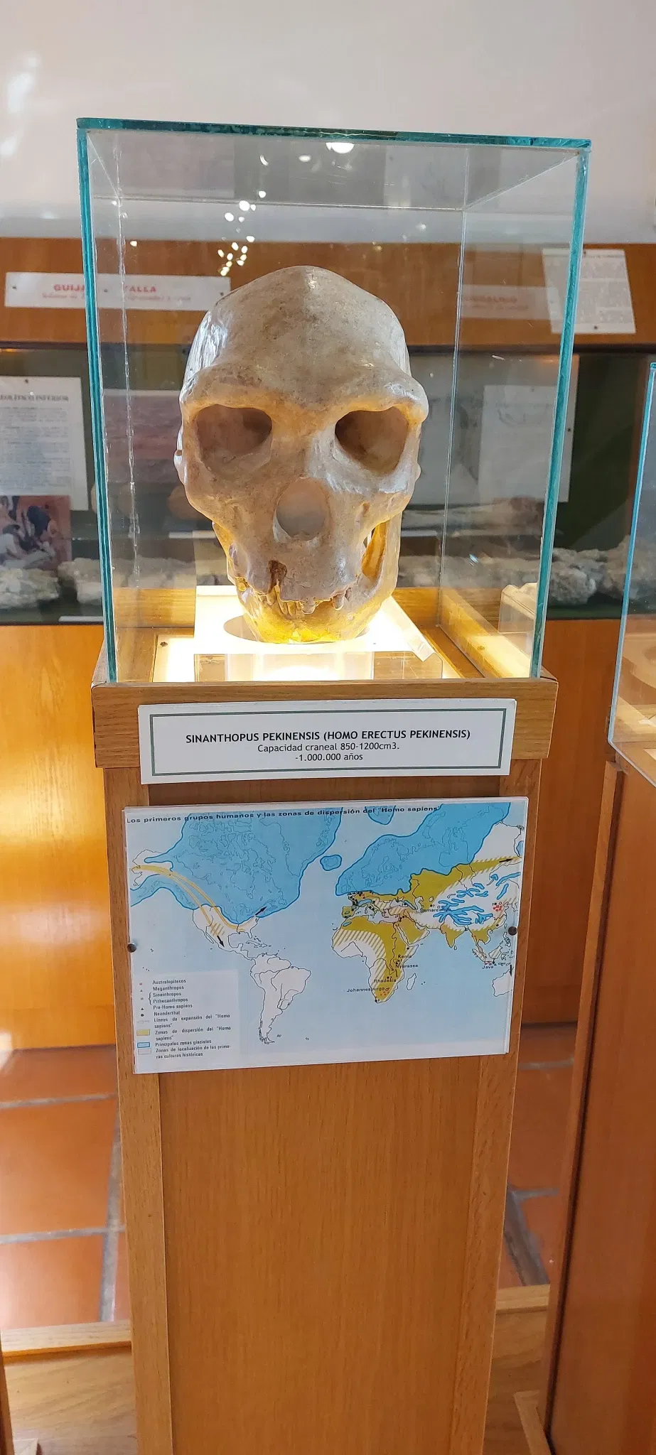 Velezano County Museum "Miguel Guirao"