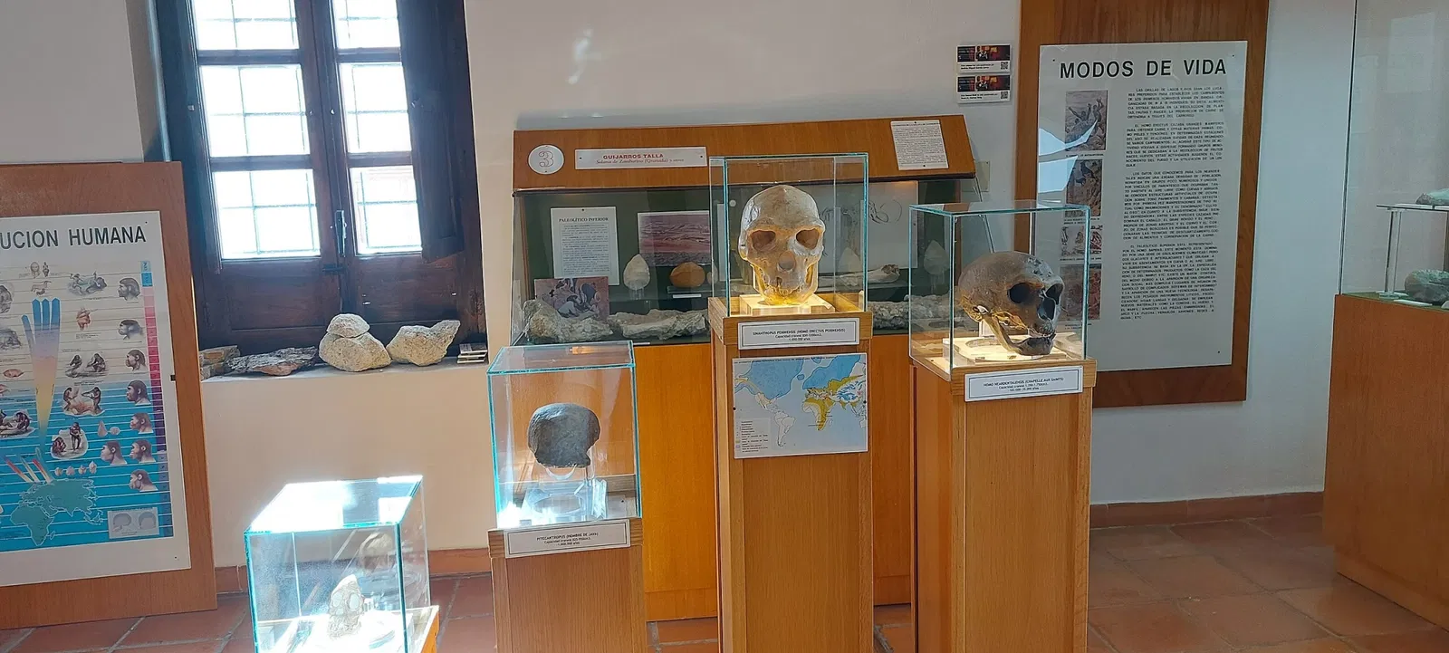 Museo Comarcal Velezano Miguel Guirao