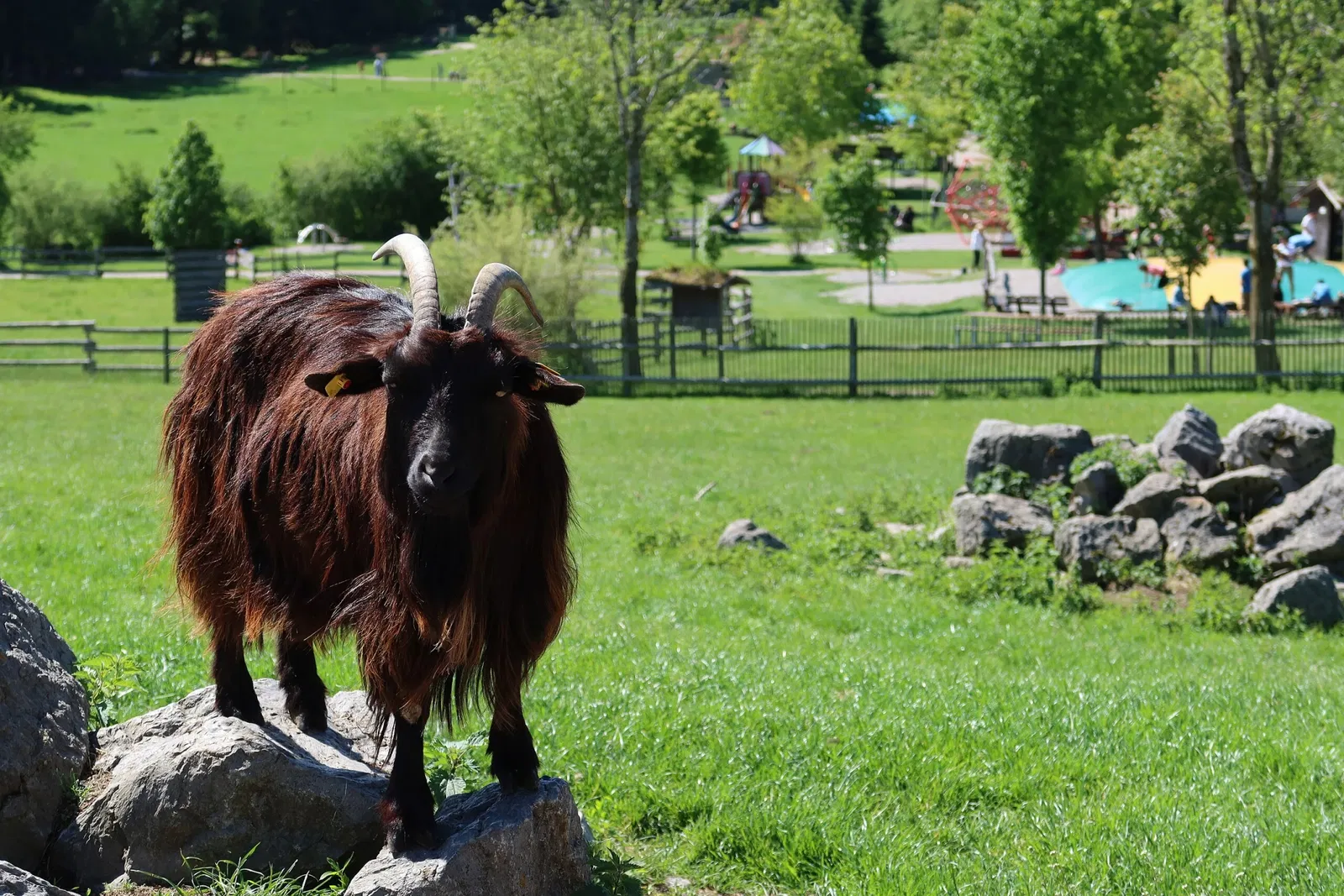 Bergtierpark Blindham