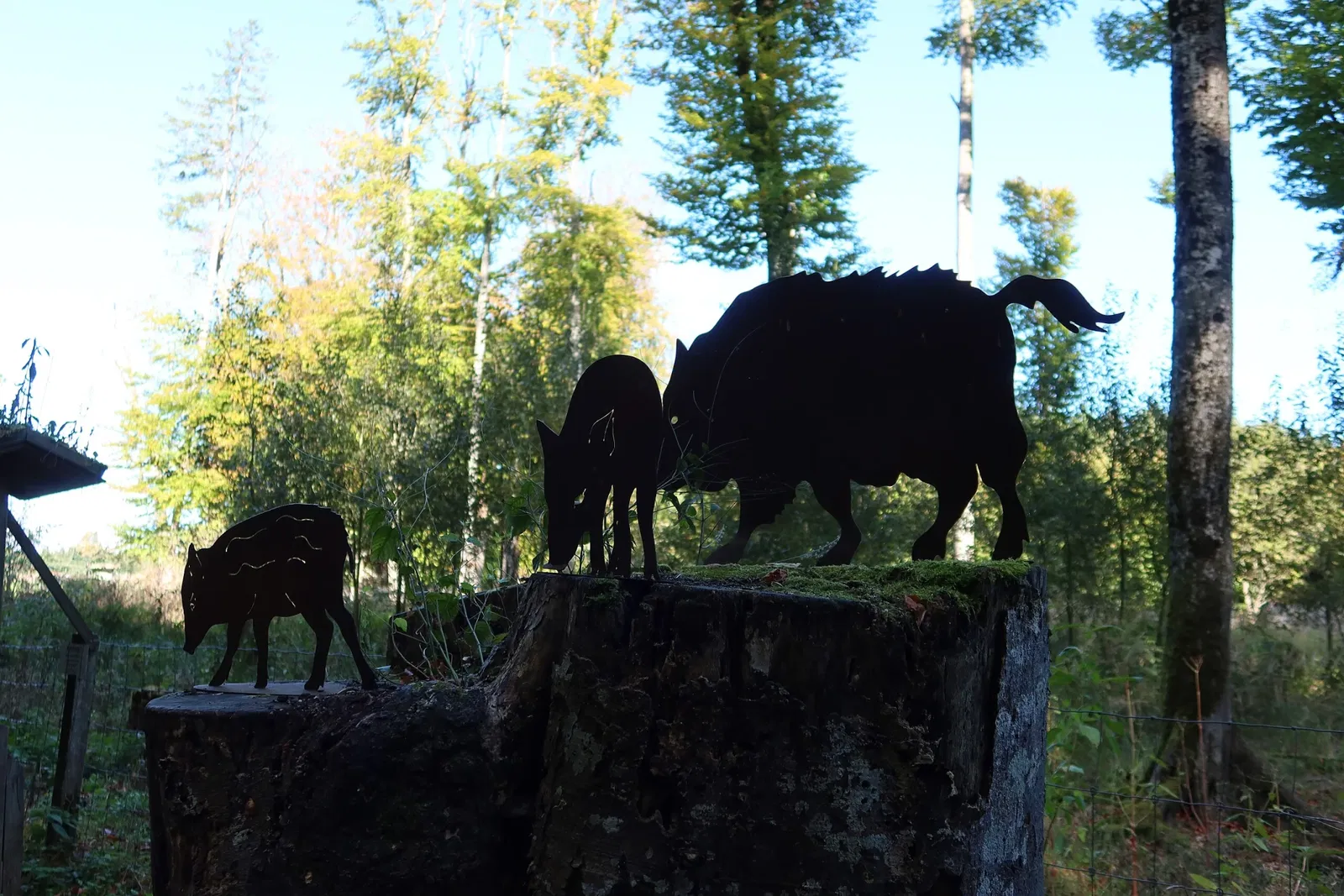 Bergtierpark Blindham