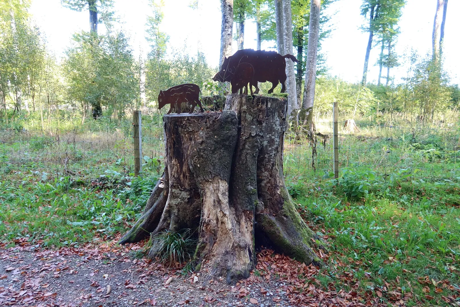 Bergtierpark Blindham