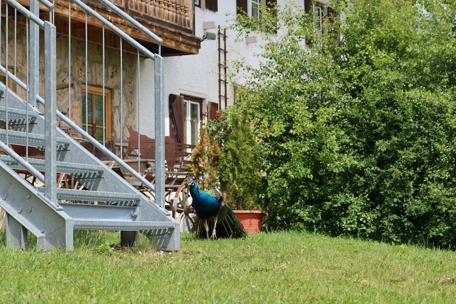 Bergtierpark Blindham