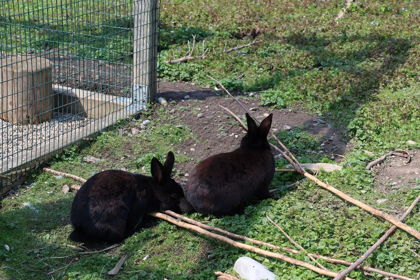 Bergtierpark Blindham