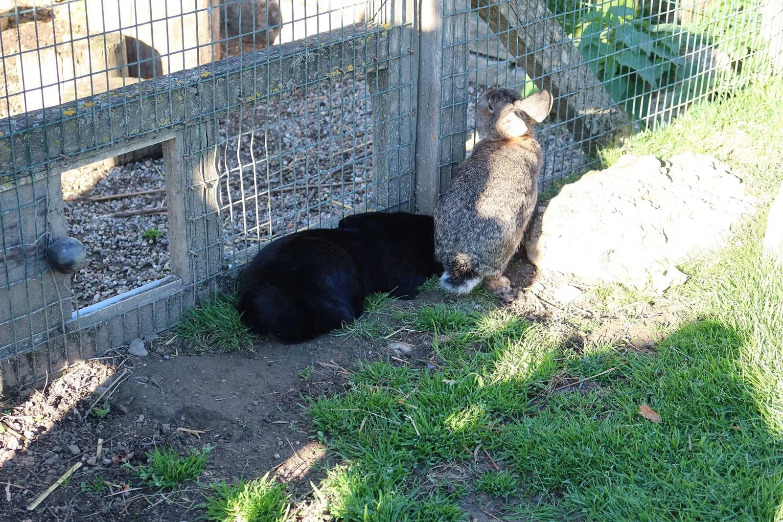 Bergtierpark Blindham