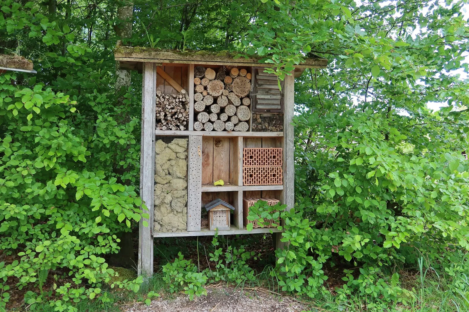 Bergtierpark Blindham